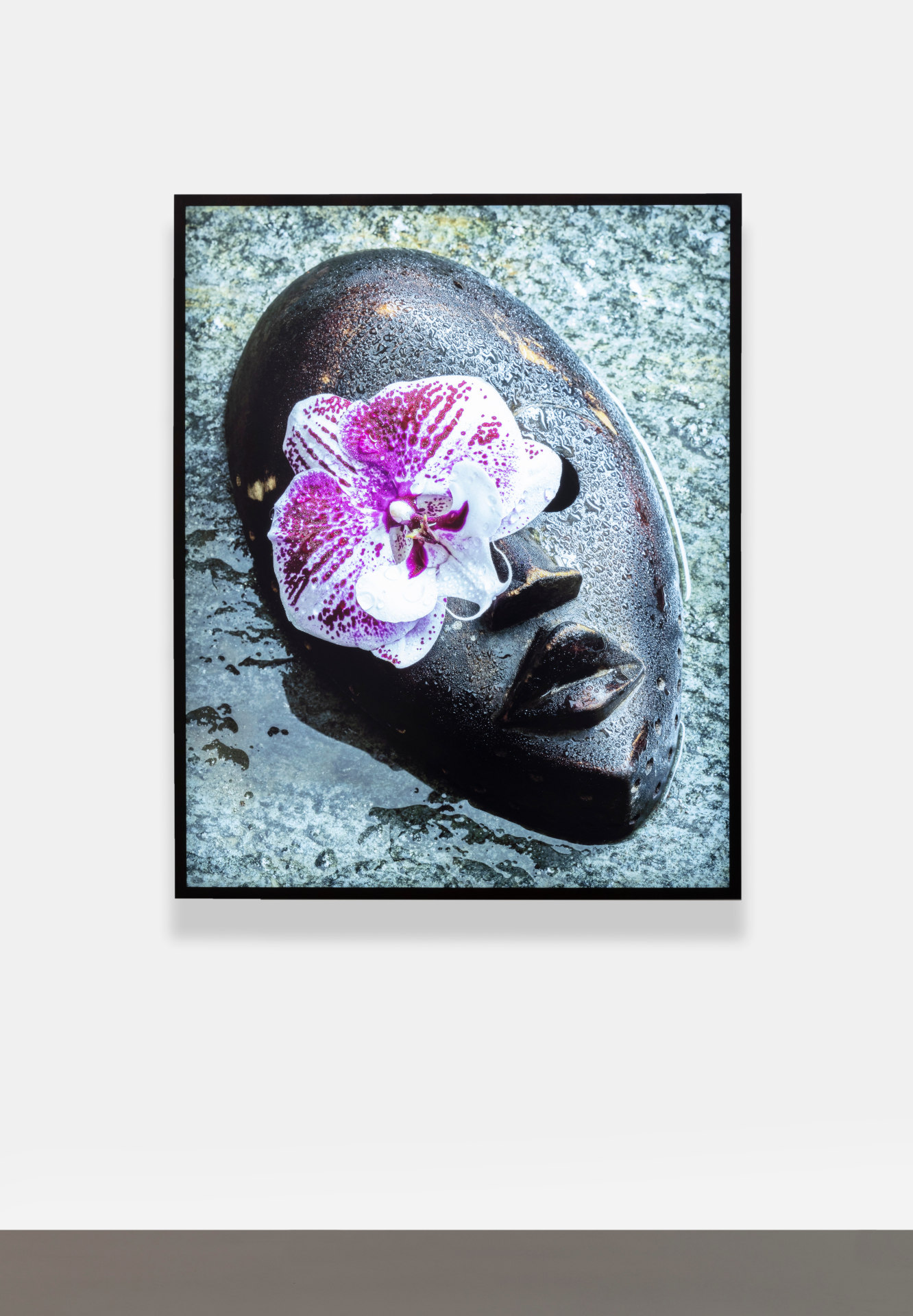 Figi, 2021-2023 digital C-print mounted with 1/8&quot; Plexi, LED light box frame