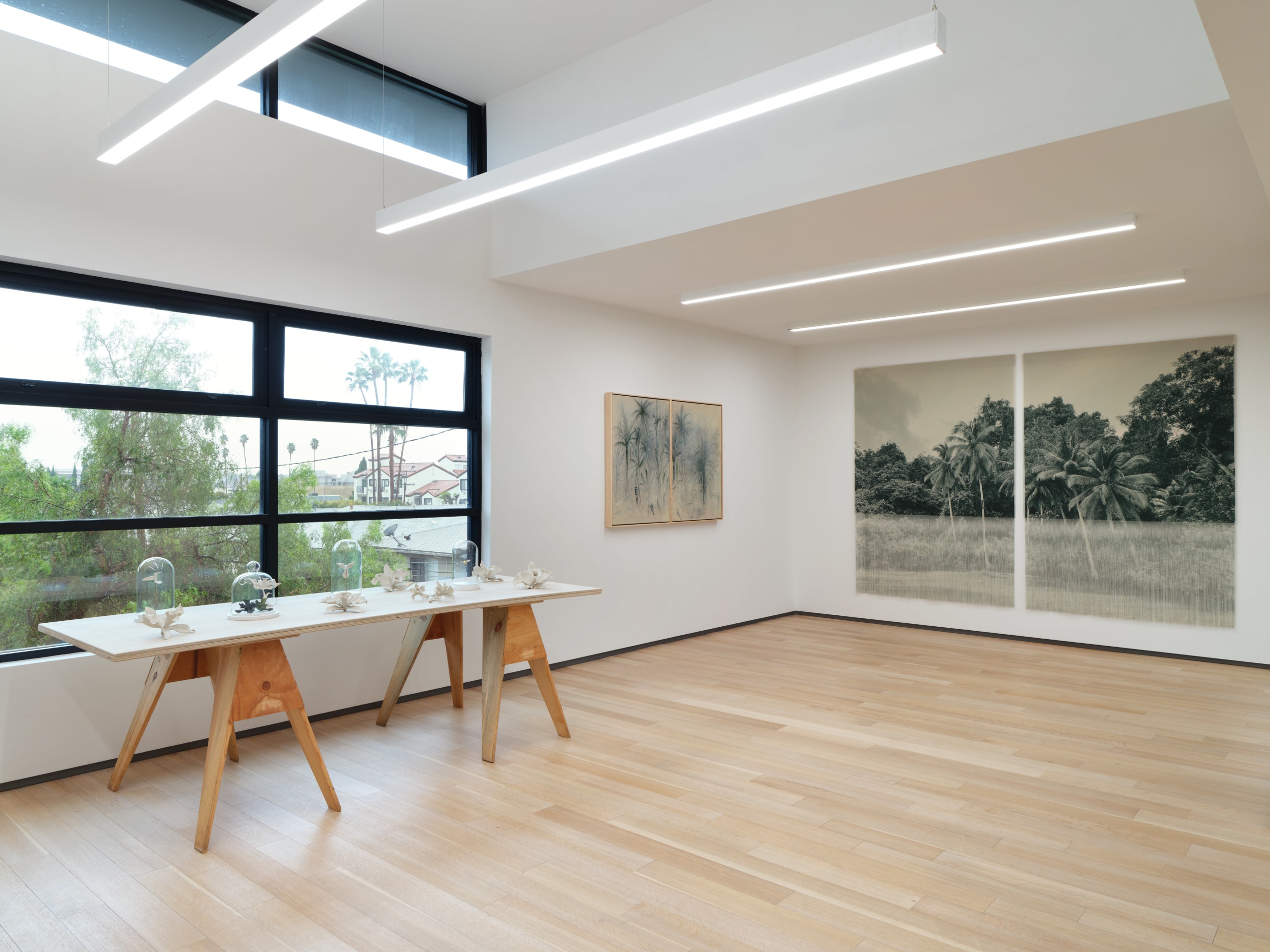 Installation view of&nbsp;VERDES&nbsp;at Sean Kelly, Los Angeles, Janauary 20 - March 9, 2024, Photography: Brica Wilcox, Courtesy: Sean Kelly