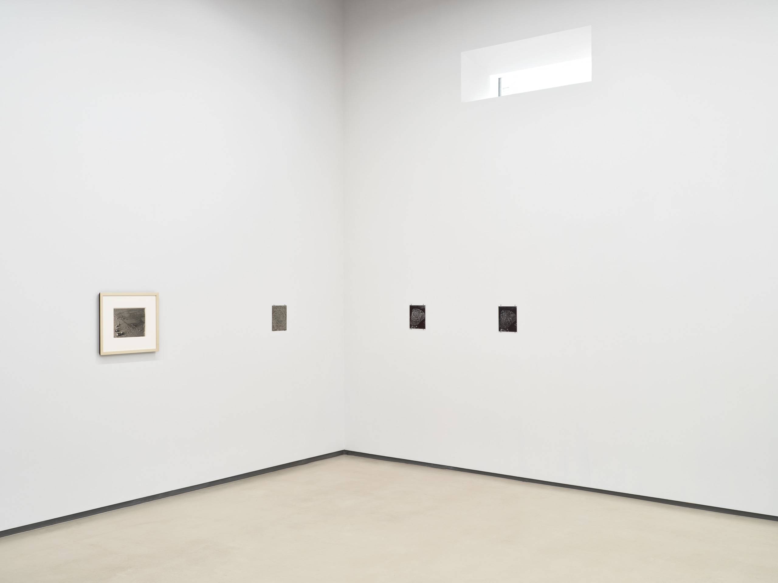 Installation view of Ground Work curated by Joey Lico at Sean Kelly, Los Angeles, July 17 &ndash; August 30, 2025, Photography: Brica Wilcox, Courtesy: Sean Kelly, New York/Los Angeles