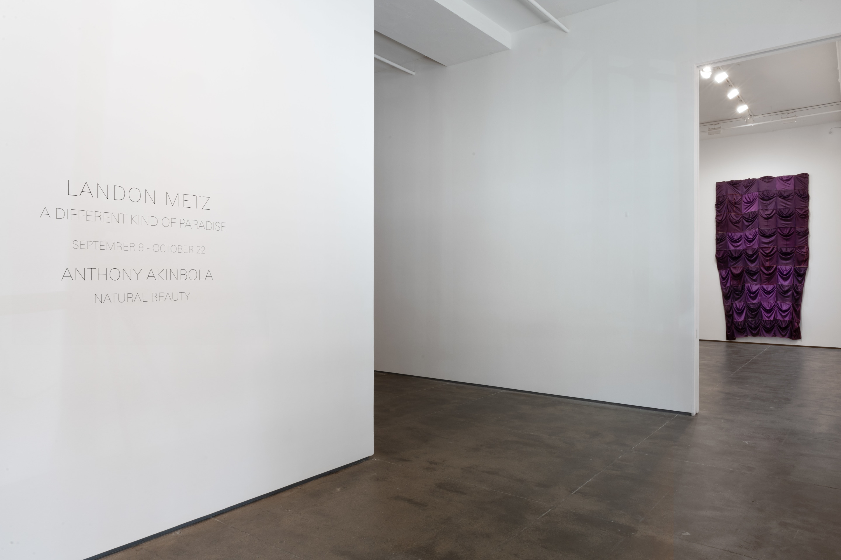 Installation view of Anthony Akinbola: Natural Beauty at Sean Kelly, New York, September 8 - October 22, 2022, Photography: Adam Reich, Courtesy: Sean Kelly