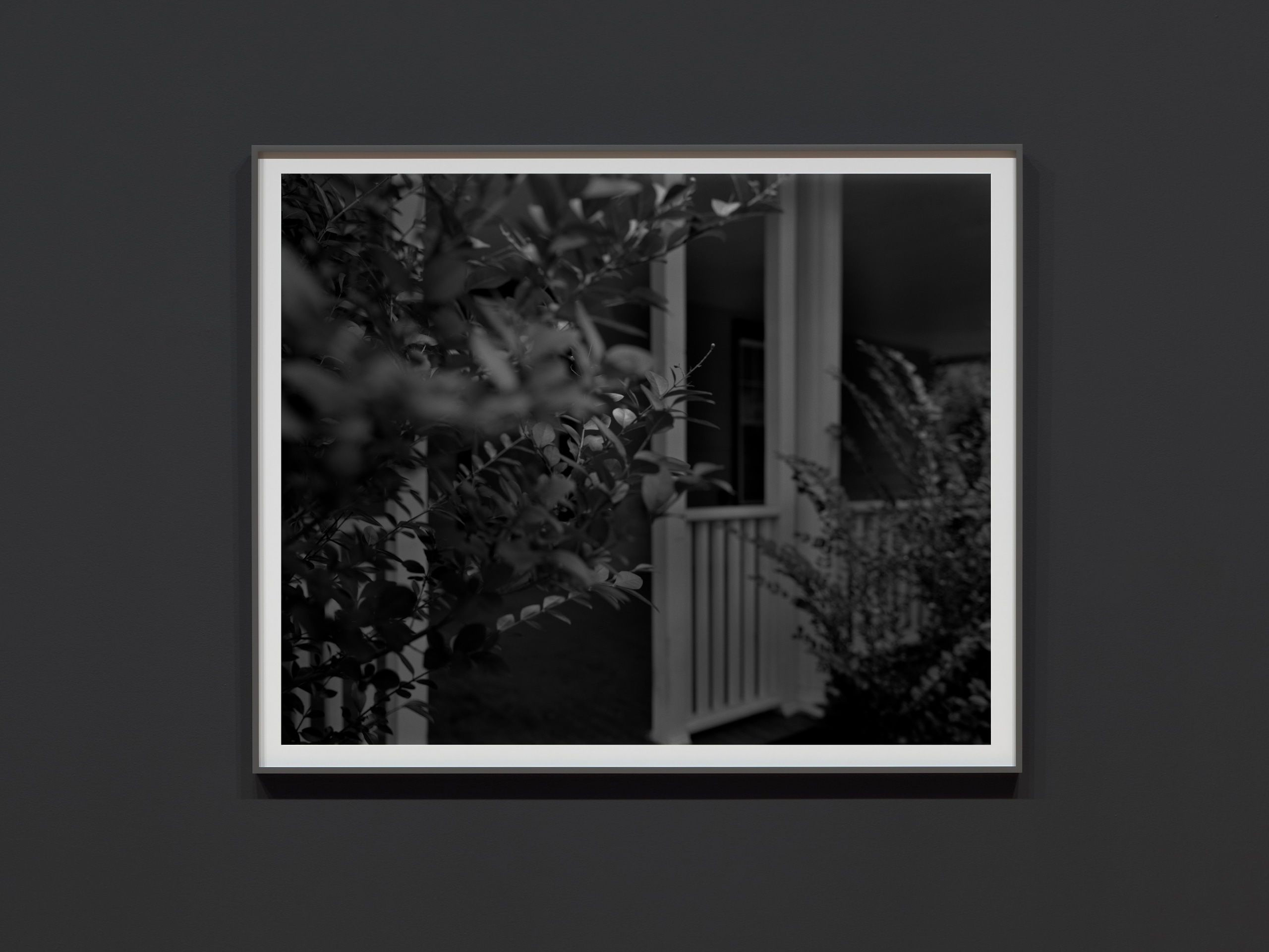 Untitled #4 (Leaves and Porch), 2017, signed by artist on label, verso