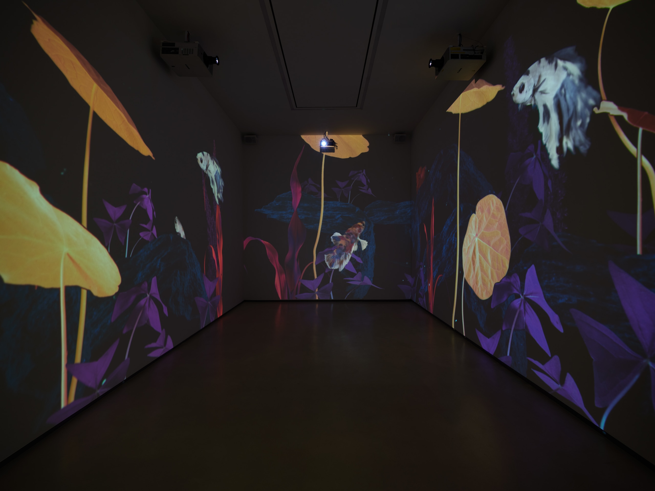 Installation view of Ground Work curated by Joey Lico at Sean Kelly, Los Angeles, July 17 &ndash; August 30, 2025, Photography: Brica Wilcox, Courtesy: Sean Kelly, New York/Los Angeles