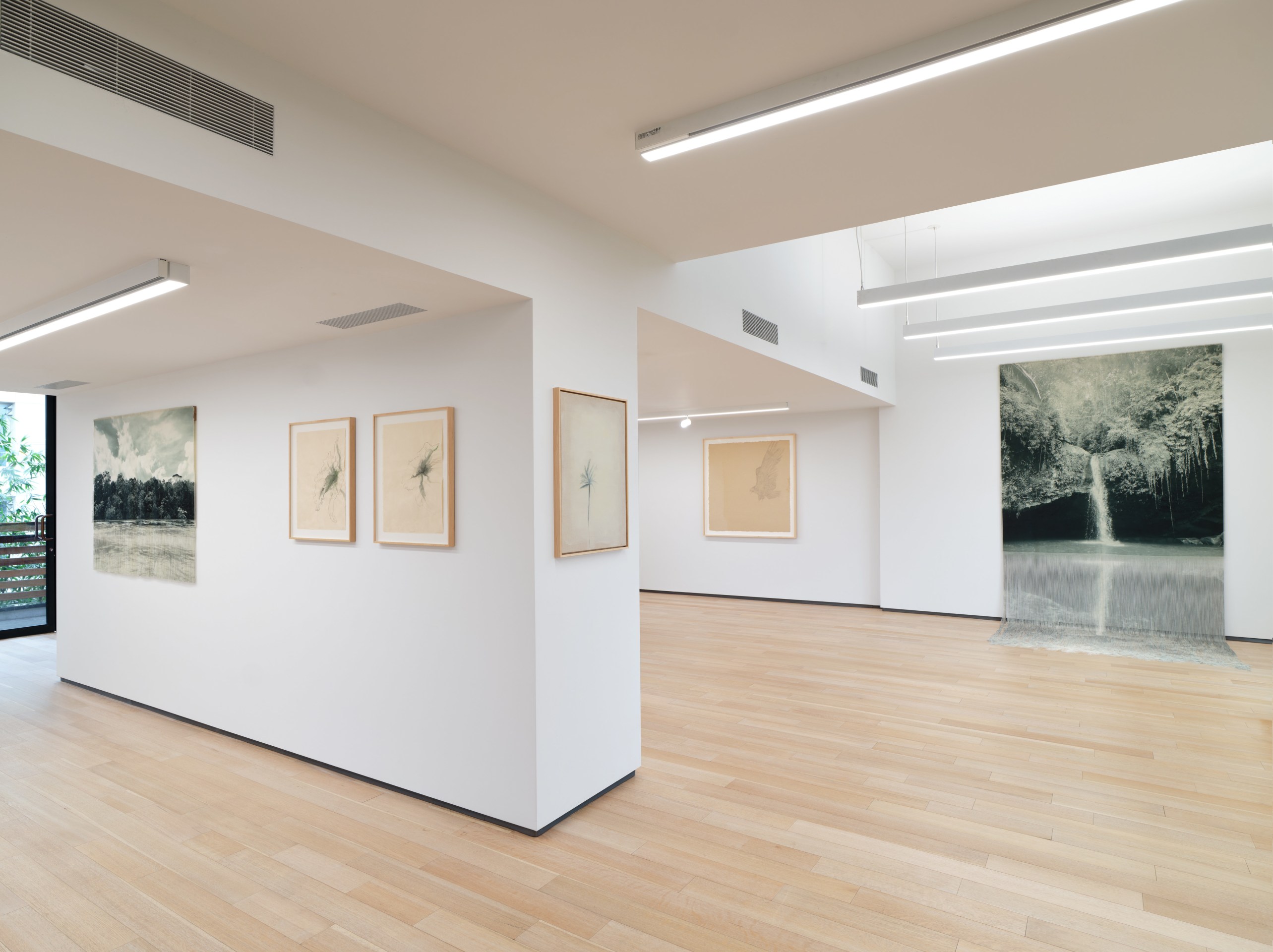 Installation view of&nbsp;VERDES&nbsp;at Sean Kelly, Los Angeles, Janauary 20 - March 9, 2024, Photography: Brica Wilcox, Courtesy: Sean Kelly