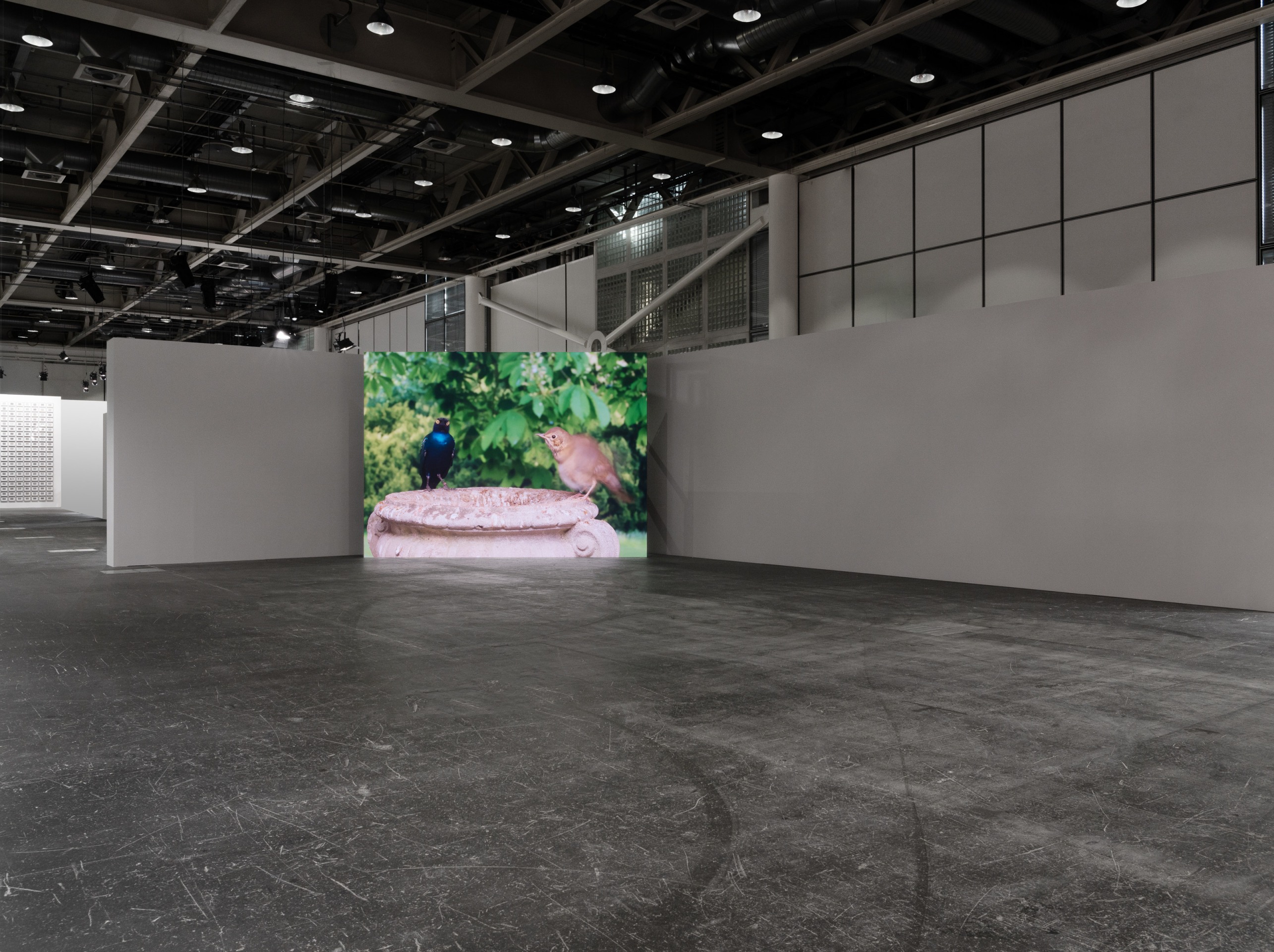 David Claerbout, Birdcage, 2023 presented by Sean Kelly, Galeria Pedro Cera, Galerie Greta Meert, Esther Schipper, and Galerie Rüdiger Schöttle at Art Basel Unlimited 2024, U22, June 10–16. 2024. © David Claerbout, Photo: Dawn Blackman, Courtesy: the artist, Sean Kelly, New York/Los Angeles, Galeria Pedro Cera, Galerie Greta Meert, Esther Schipper, and Galerie Rüdiger Schöttle.