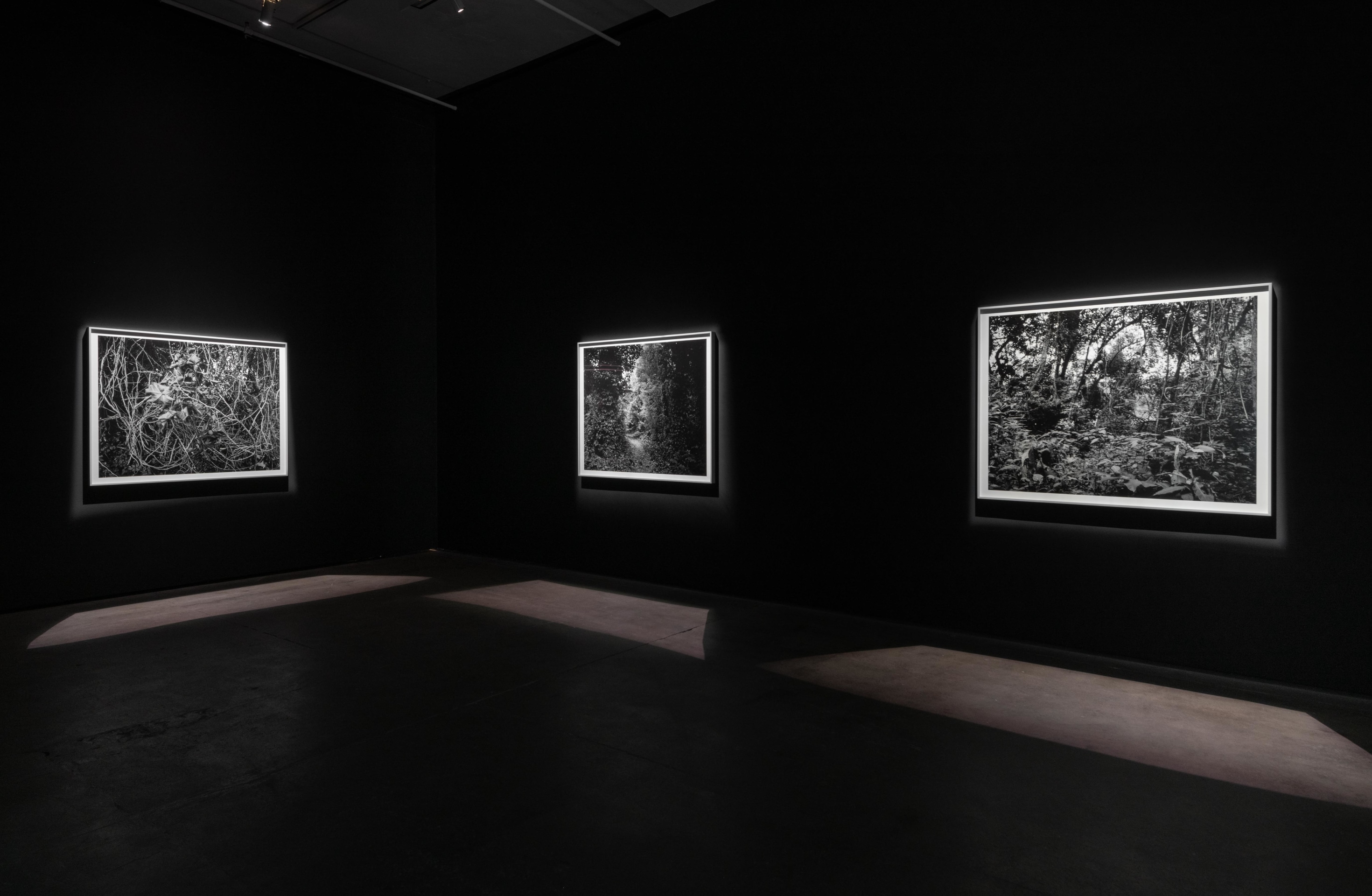 Installation view of Dawoud Bey: Stony the Road at Sean Kelly, New York, January 10 – February 22, 2025, Photography: Adam Reich, Courtesy: Sean Kelly, New York/Los Angeles