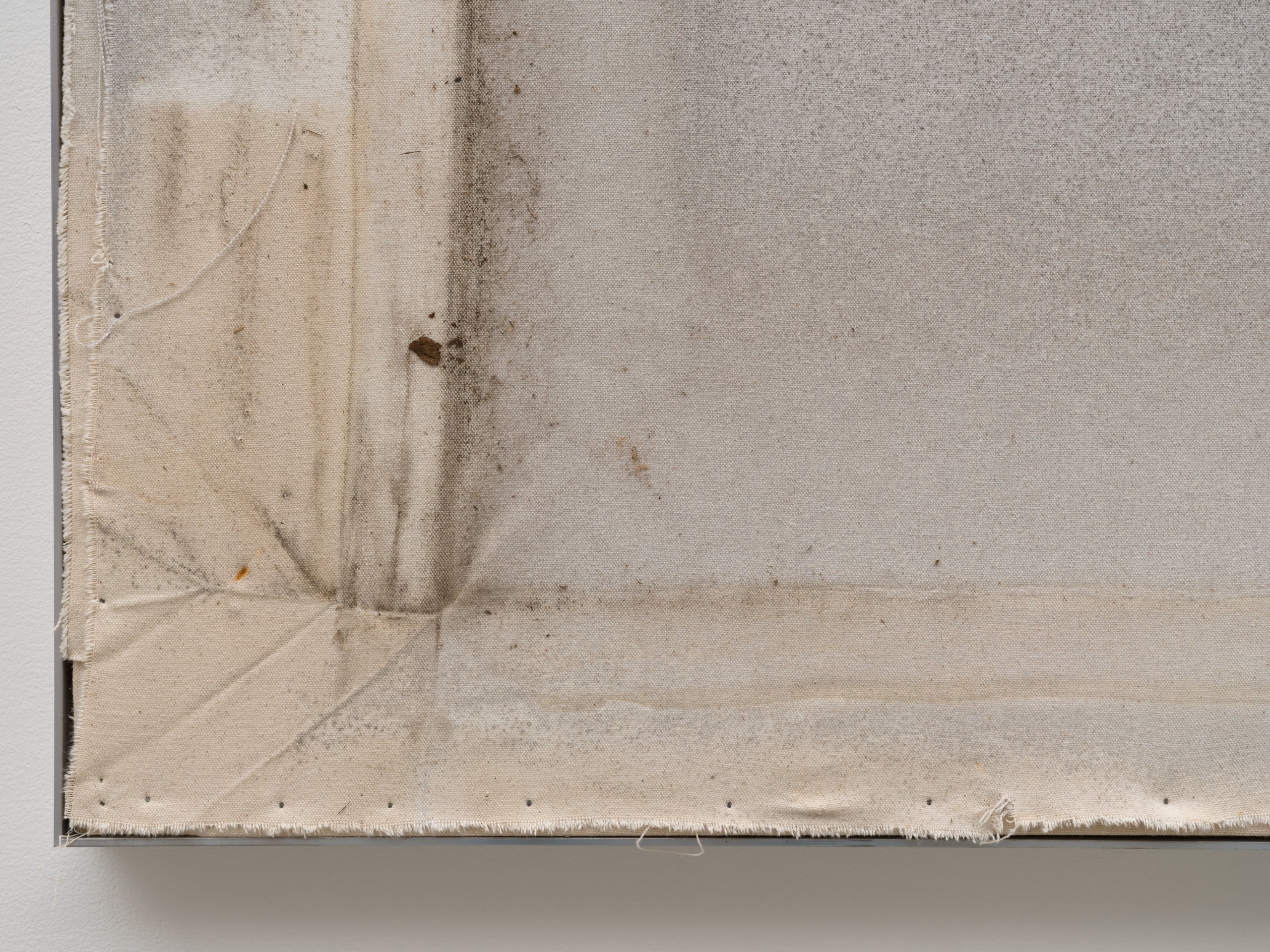 Carlos Agredano, Collector, 2025