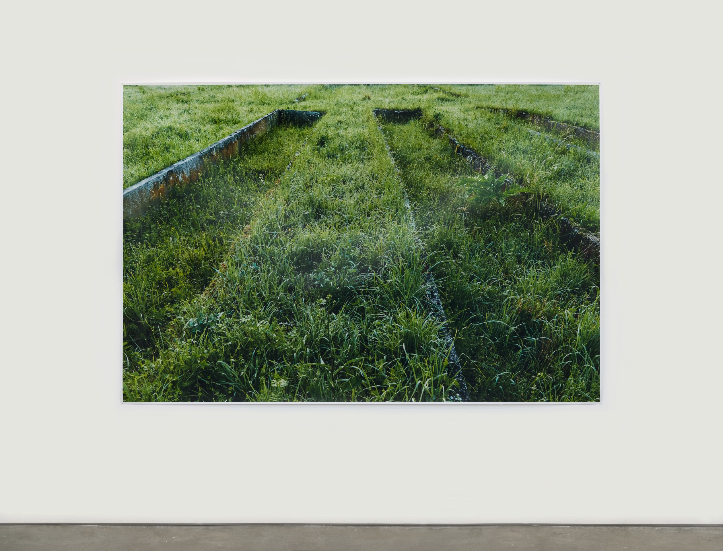 Andrea B&uuml;ttner, Former plant beds from the plantation and &quot;herb gardens,&quot; used by the Nazis for biodynamic agricultural research, at the Dachau Concentration Camp, 2019 - 2020