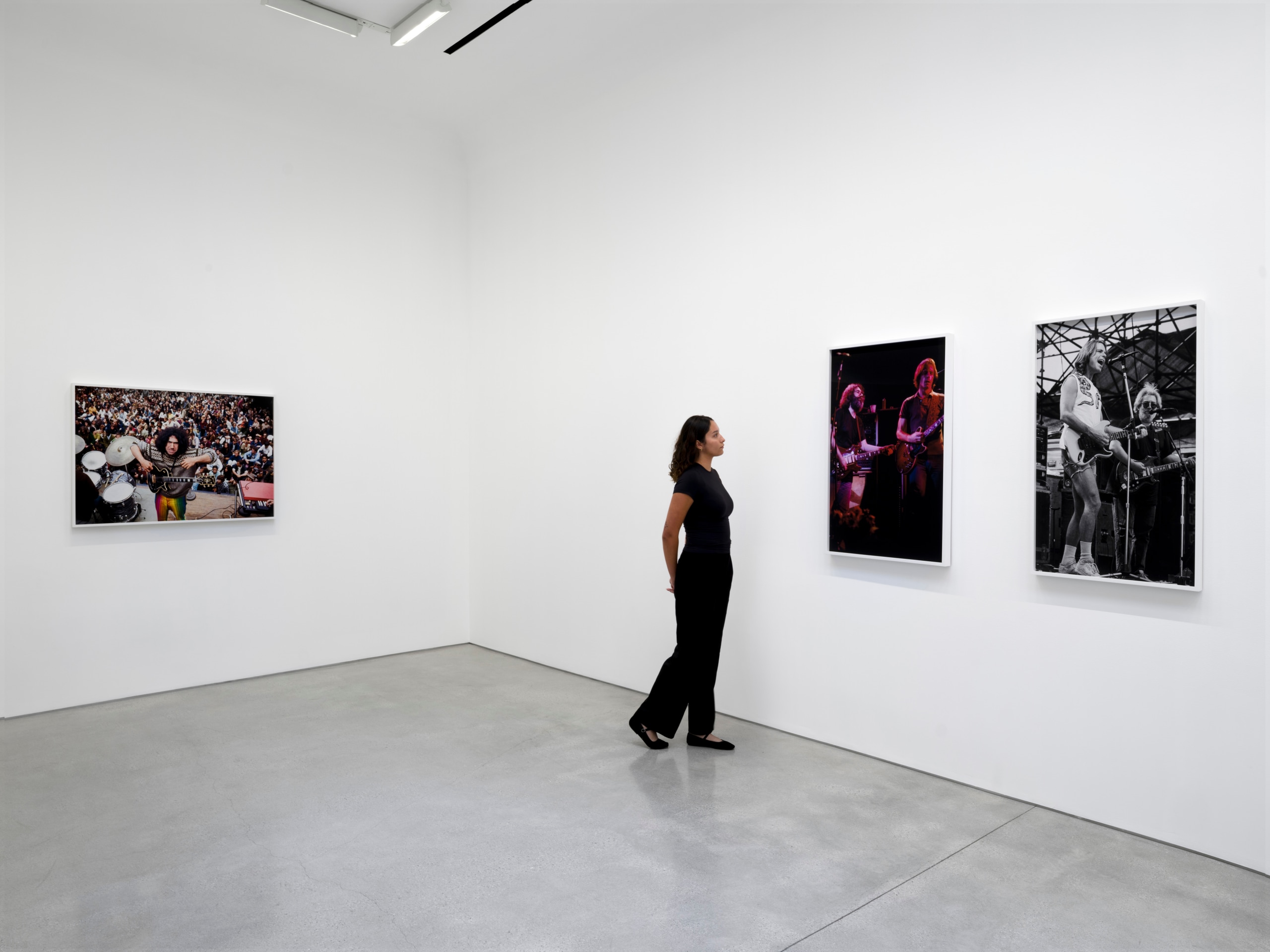 An American Beauty: Grateful Dead 1965&ndash;1995