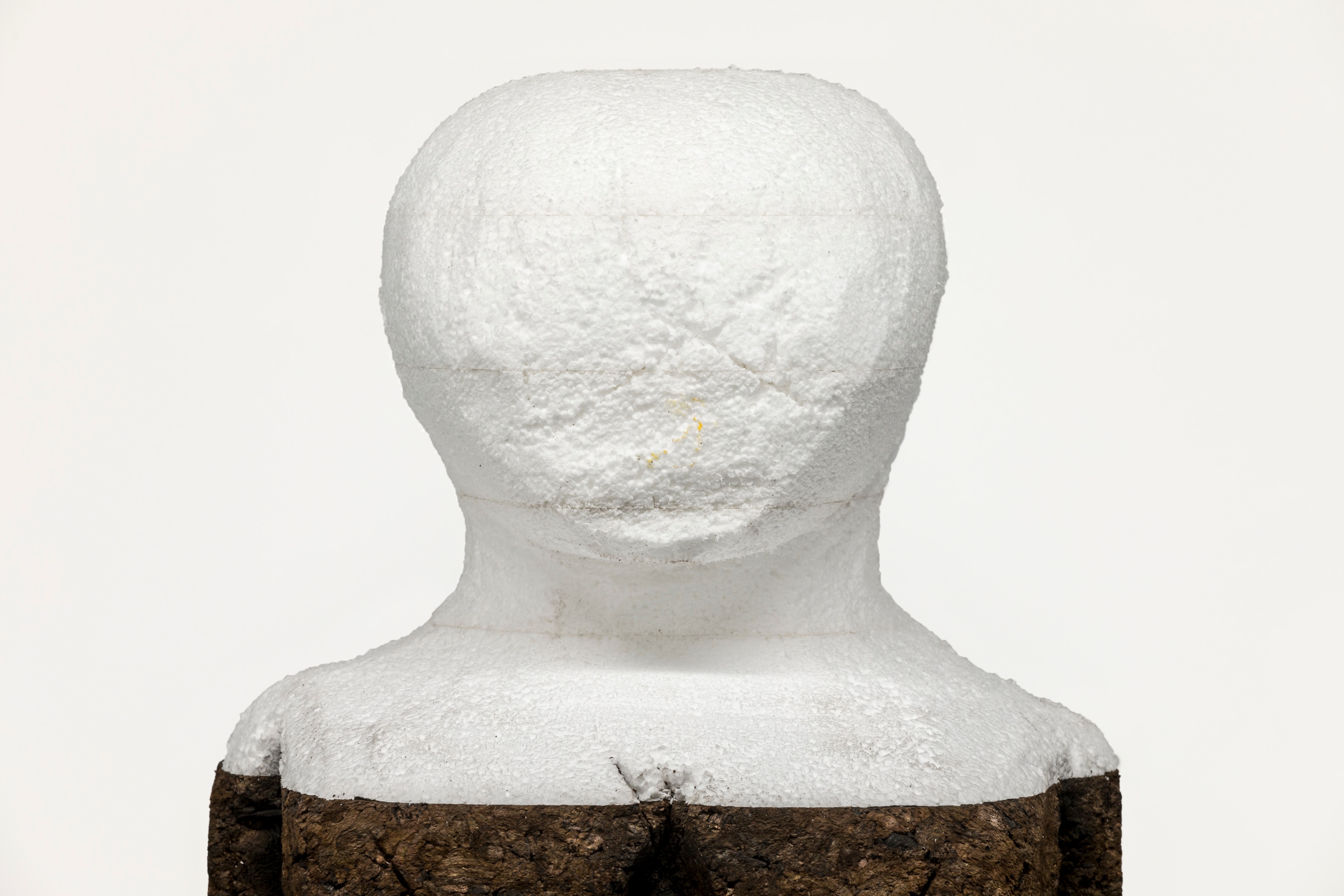 Huma Bhabha She Has Only Three Paws, 2019