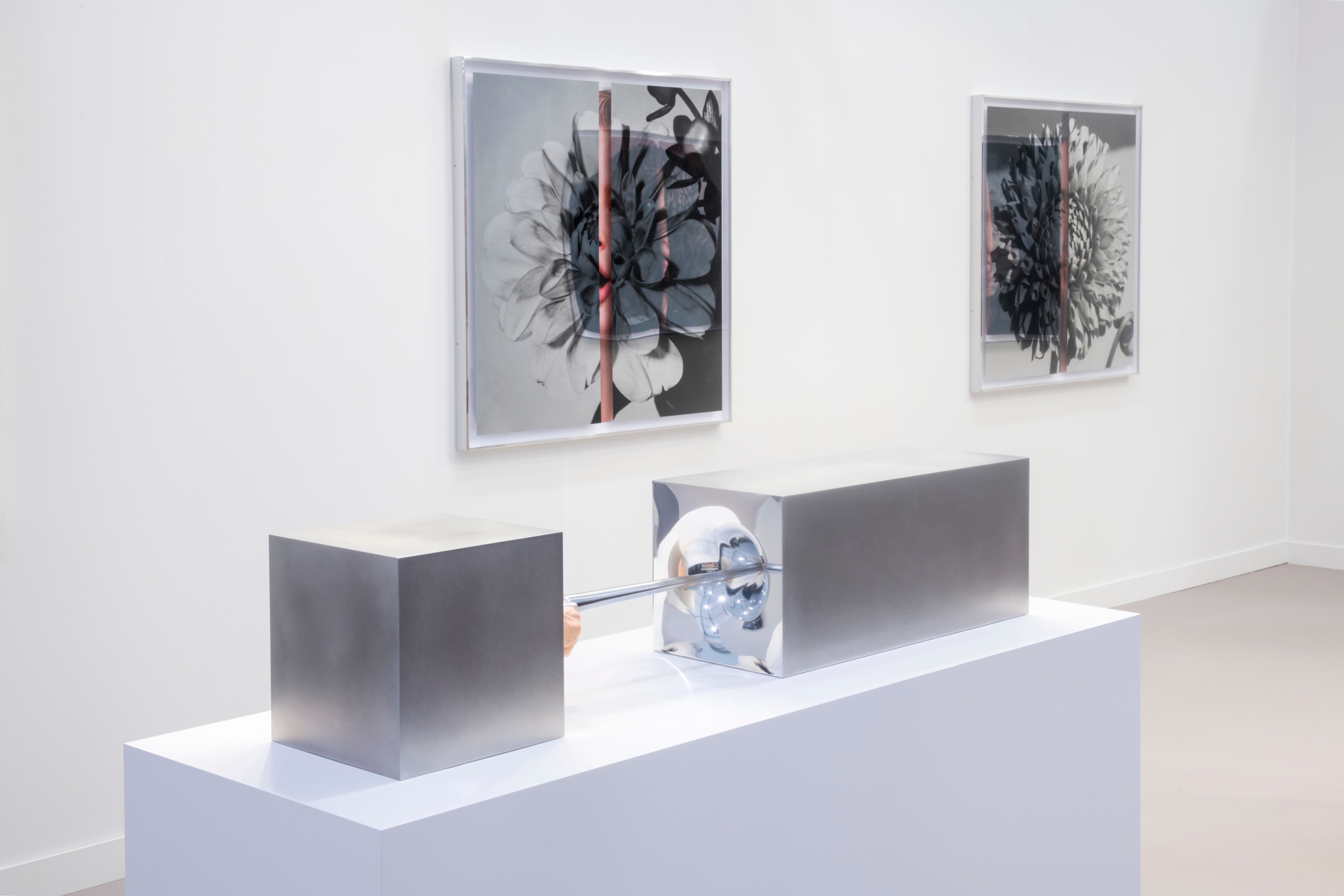 Frieze Los Angeles