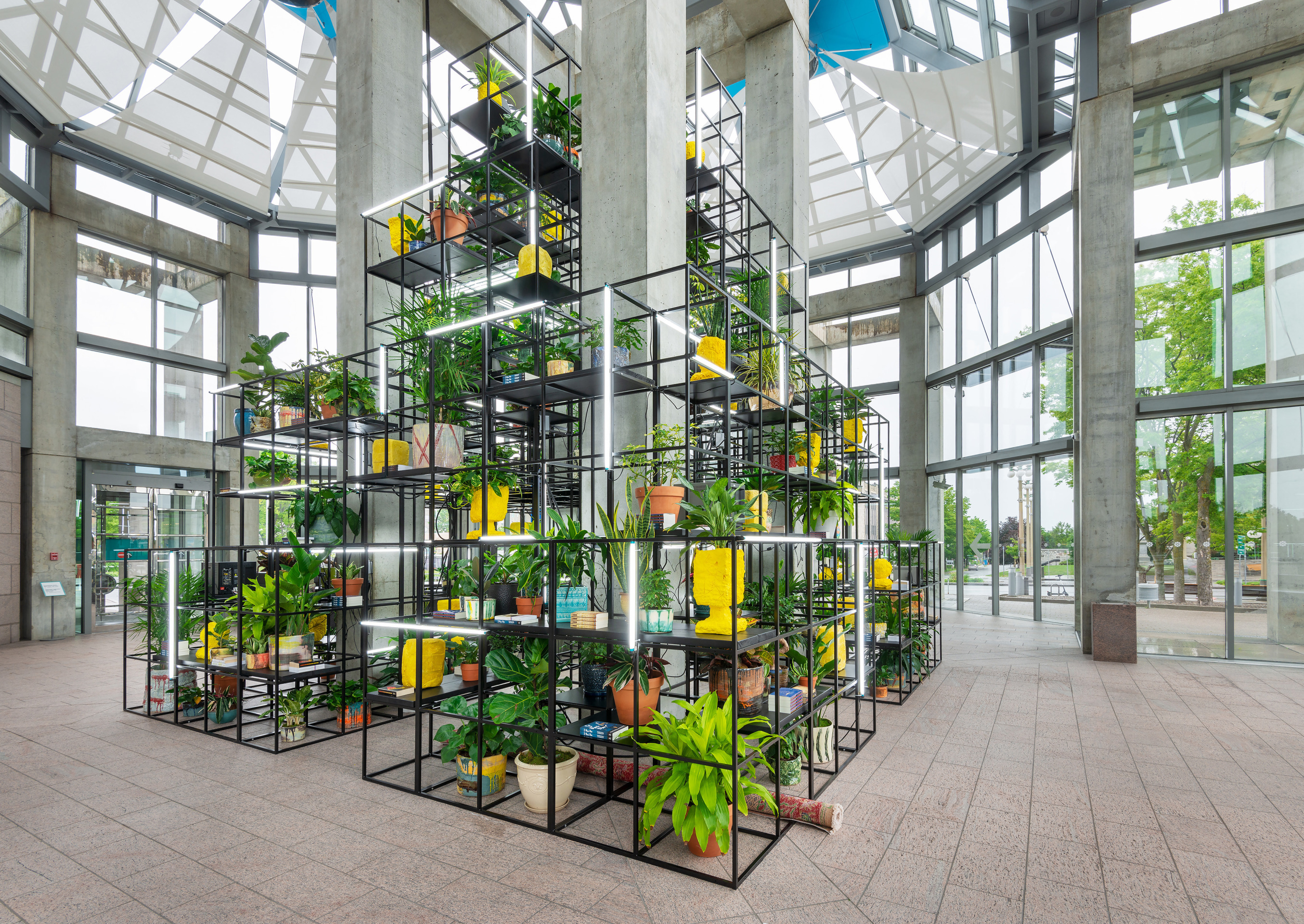 Rashid Johnson