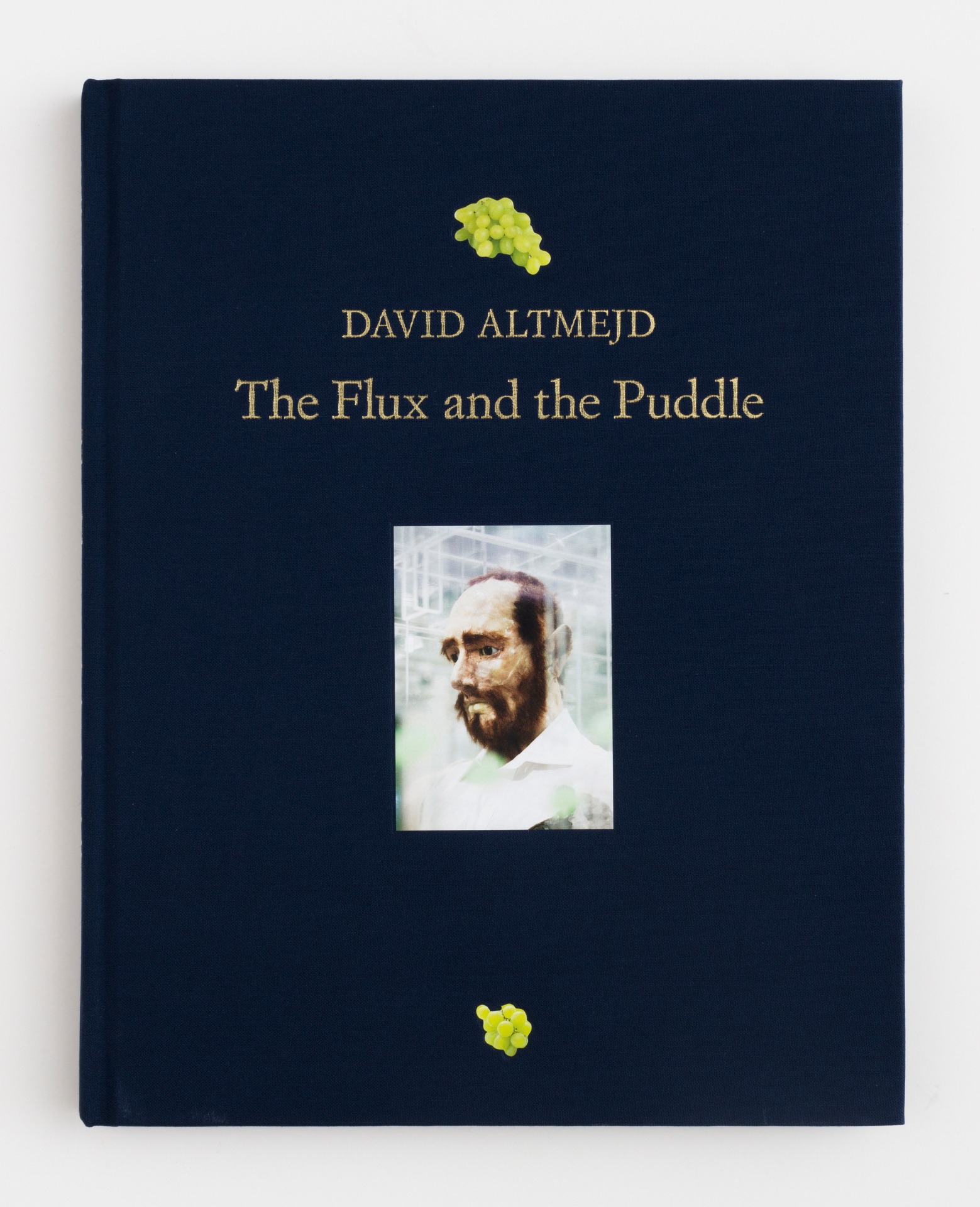 David Altmejd