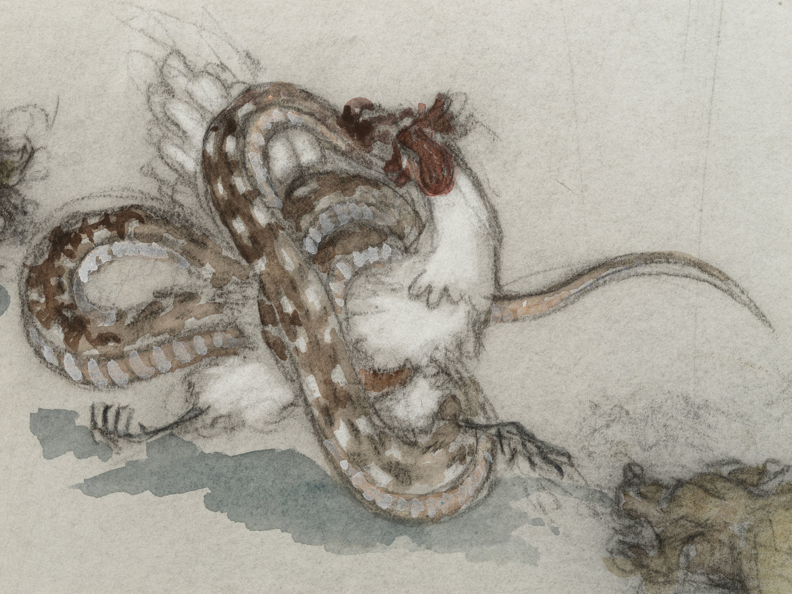 Jared Buckhiester, The same as it ever was II, 2023