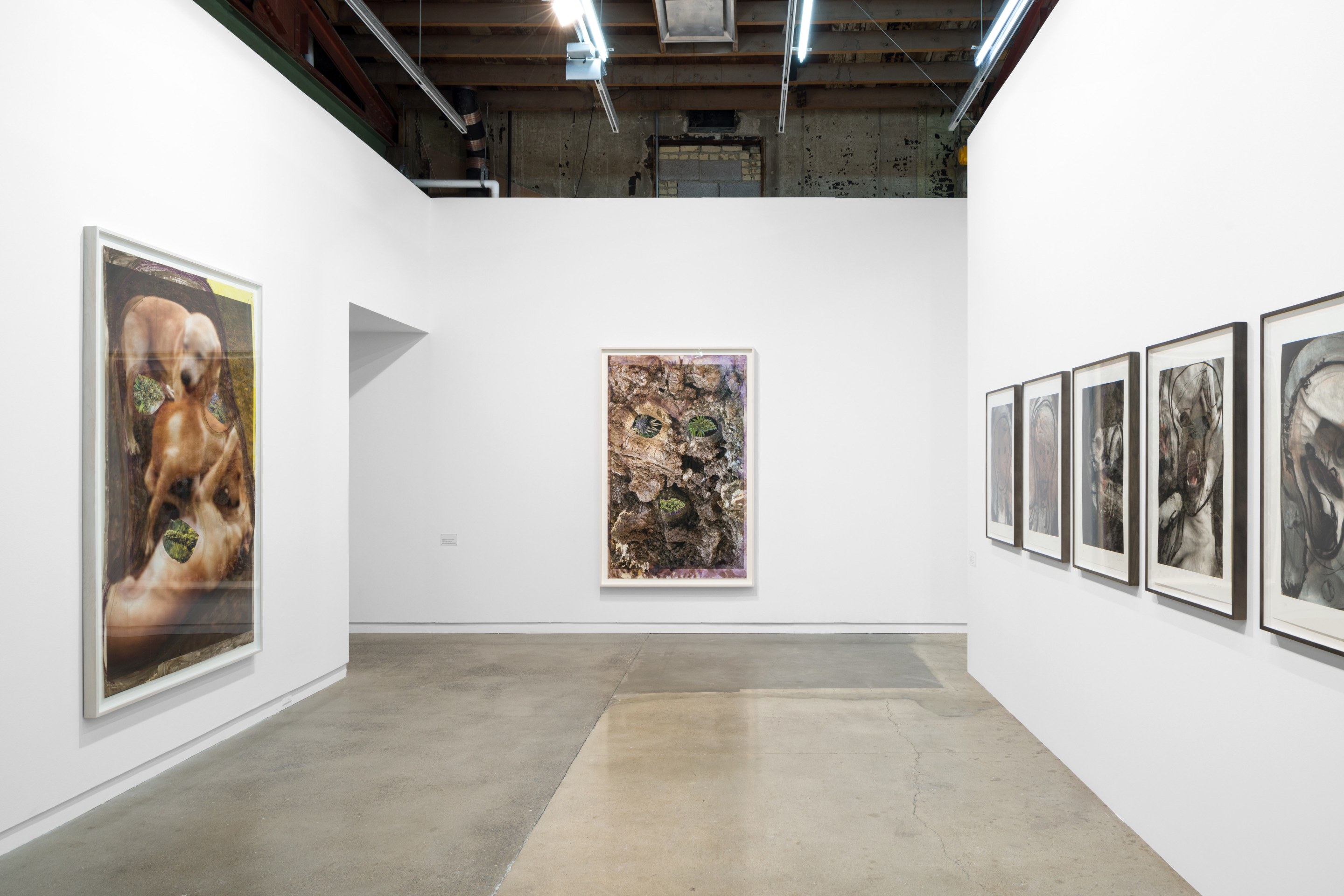 Huma Bhabha