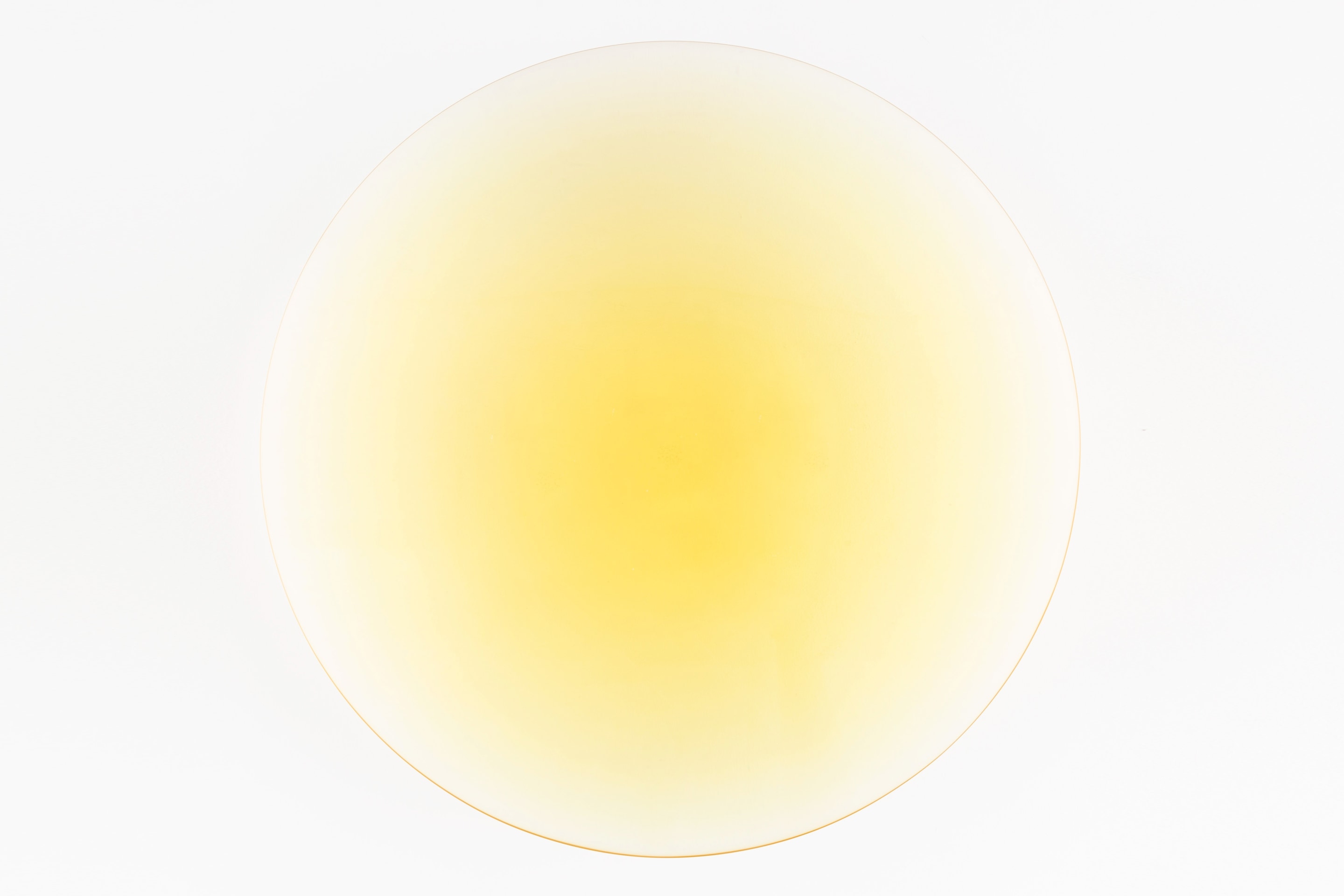 Fred Eversley, Untitled (parabolic lens), 2018