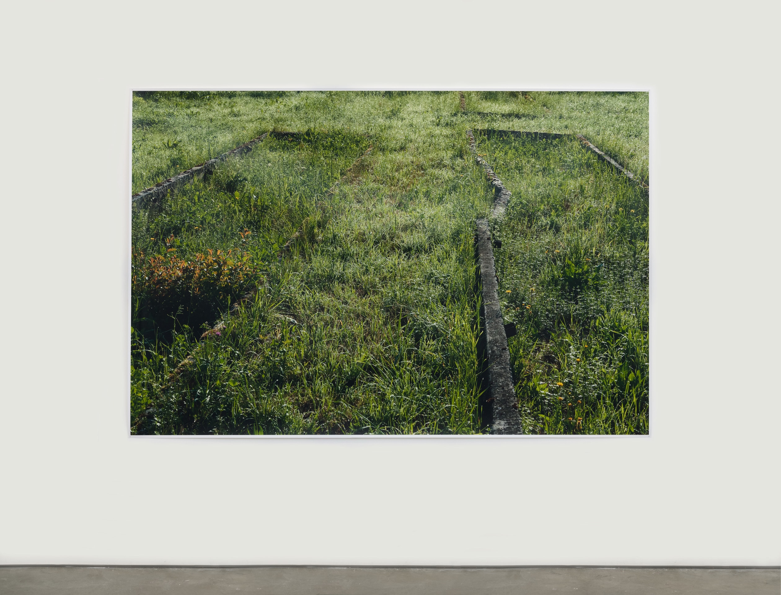 Andrea B&uuml;ttner, Former plant beds from the plantation and &quot;herb gardens,&quot; used by the Nazis for biodynamic agricultural research, at the Dachau Concentration Camp, 2019 - 2020