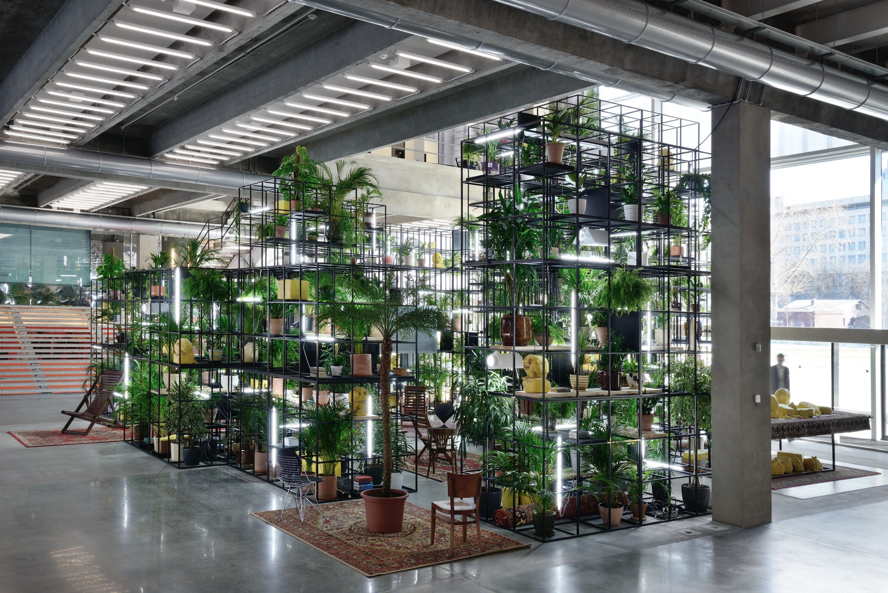 Rashid Johnson