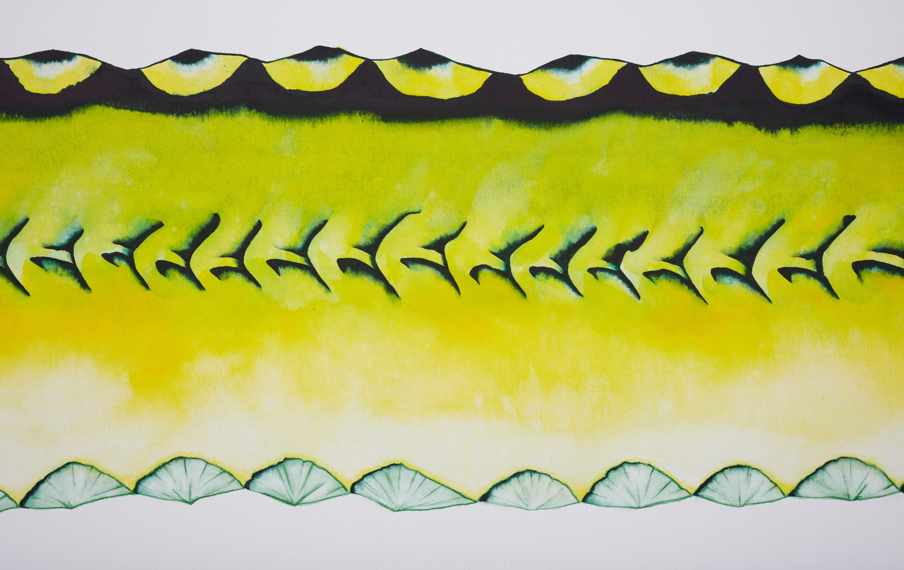 Calvin Marcus Stretch Sturgeon, 2019