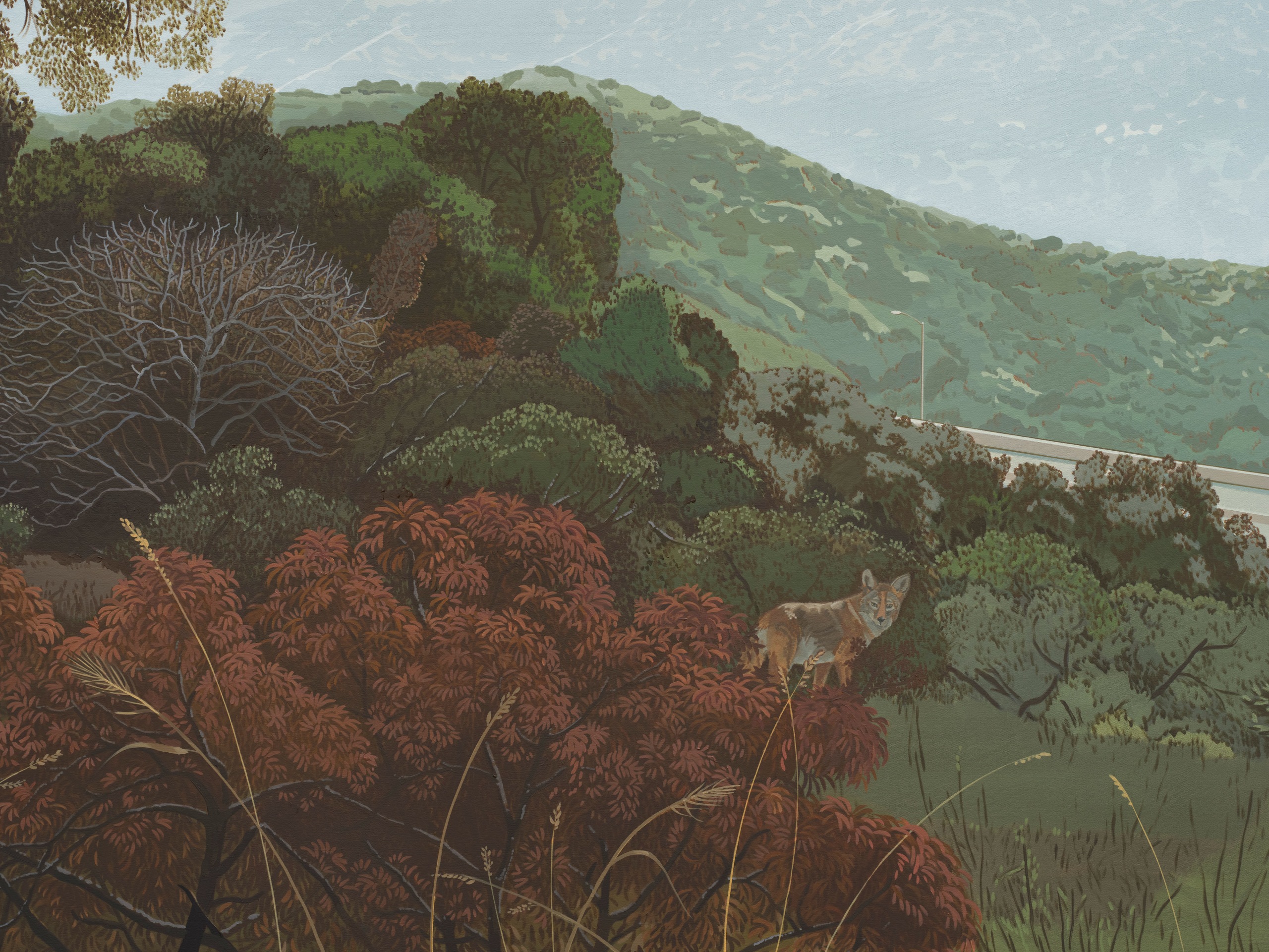 Jake Longstreth, In the Verdugo Mountains, 2025