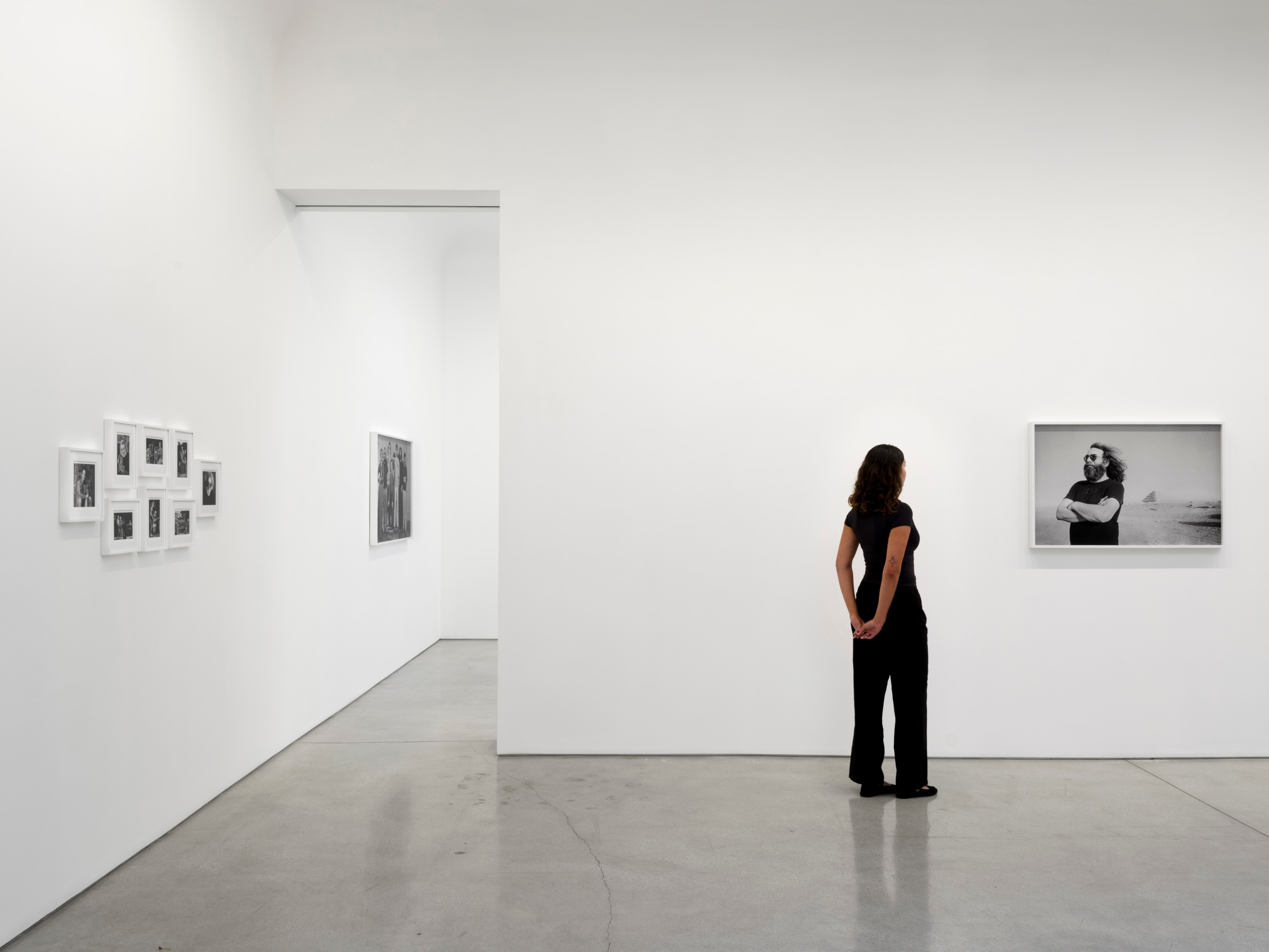 An American Beauty: Grateful Dead 1965&ndash;1995