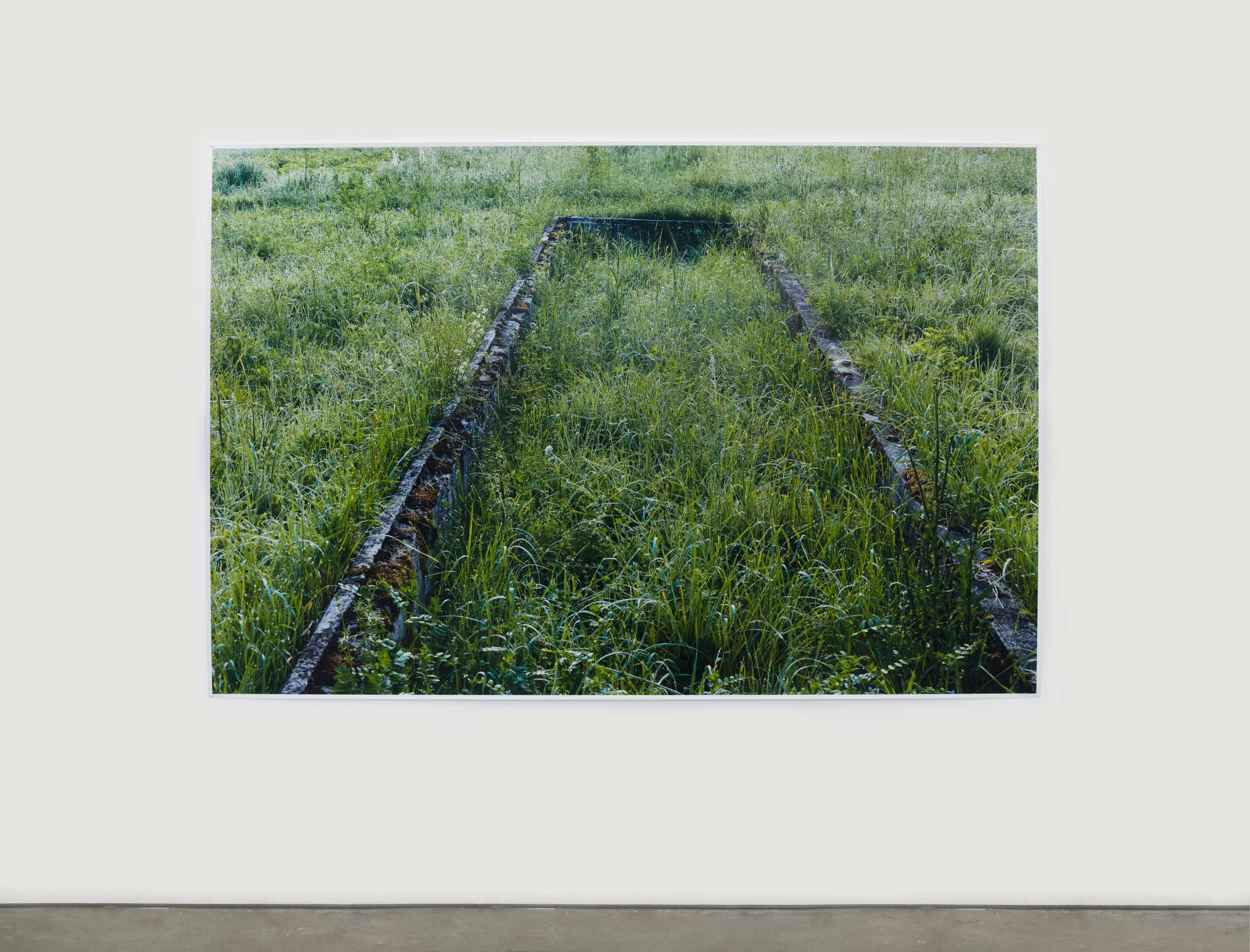 Andrea B&uuml;ttner, Former plant beds from the plantation and &quot;herb gardens,&quot; used by the Nazis for biodynamic agricultural research, at the Dachau Concentration Camp, 2019 - 2020