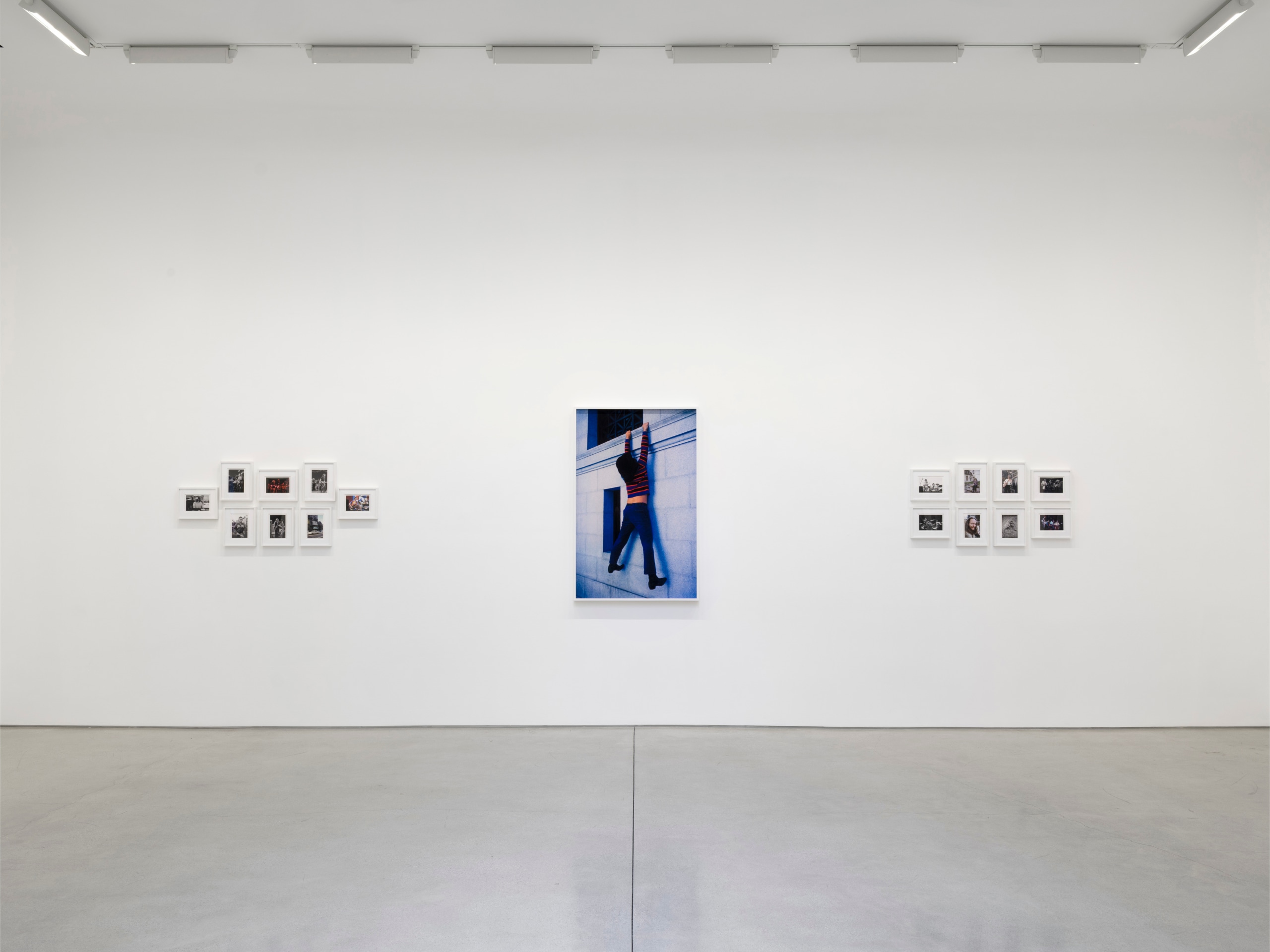 An American Beauty: Grateful Dead 1965&ndash;1995