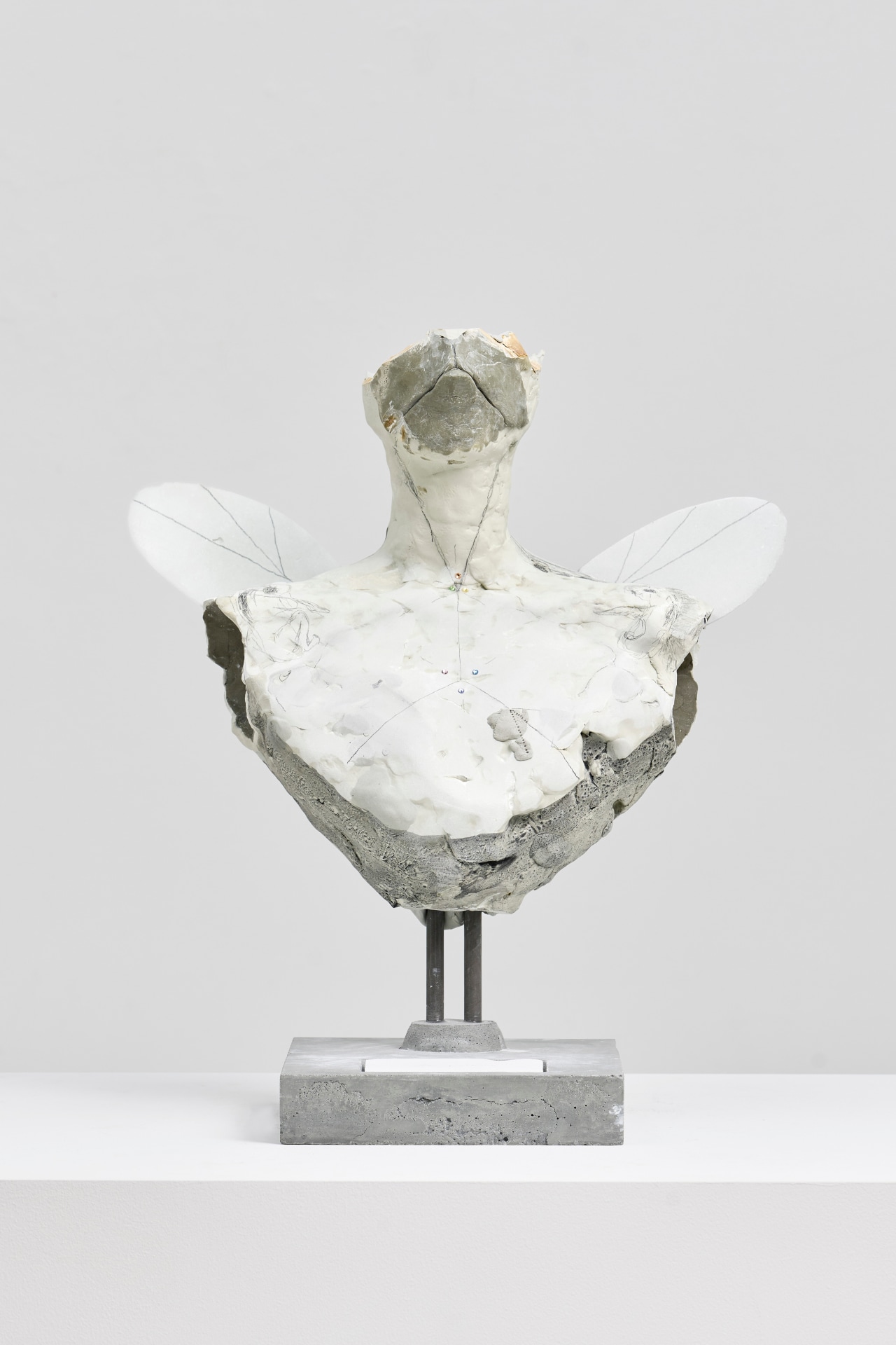 David Altmejd, Le prisme, 2024