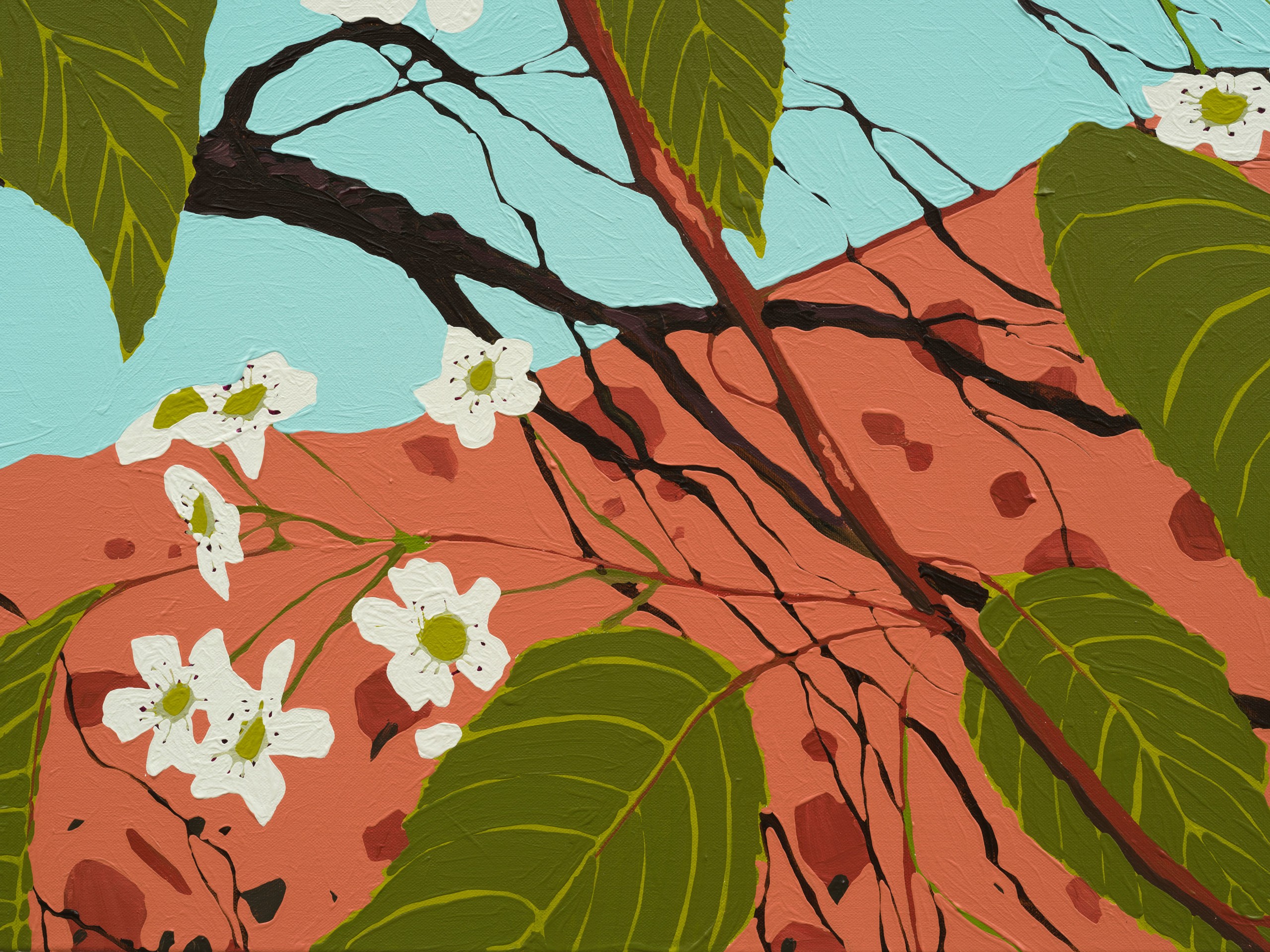 Hilary Pecis, Frog Town Pear Blossoms, 2023