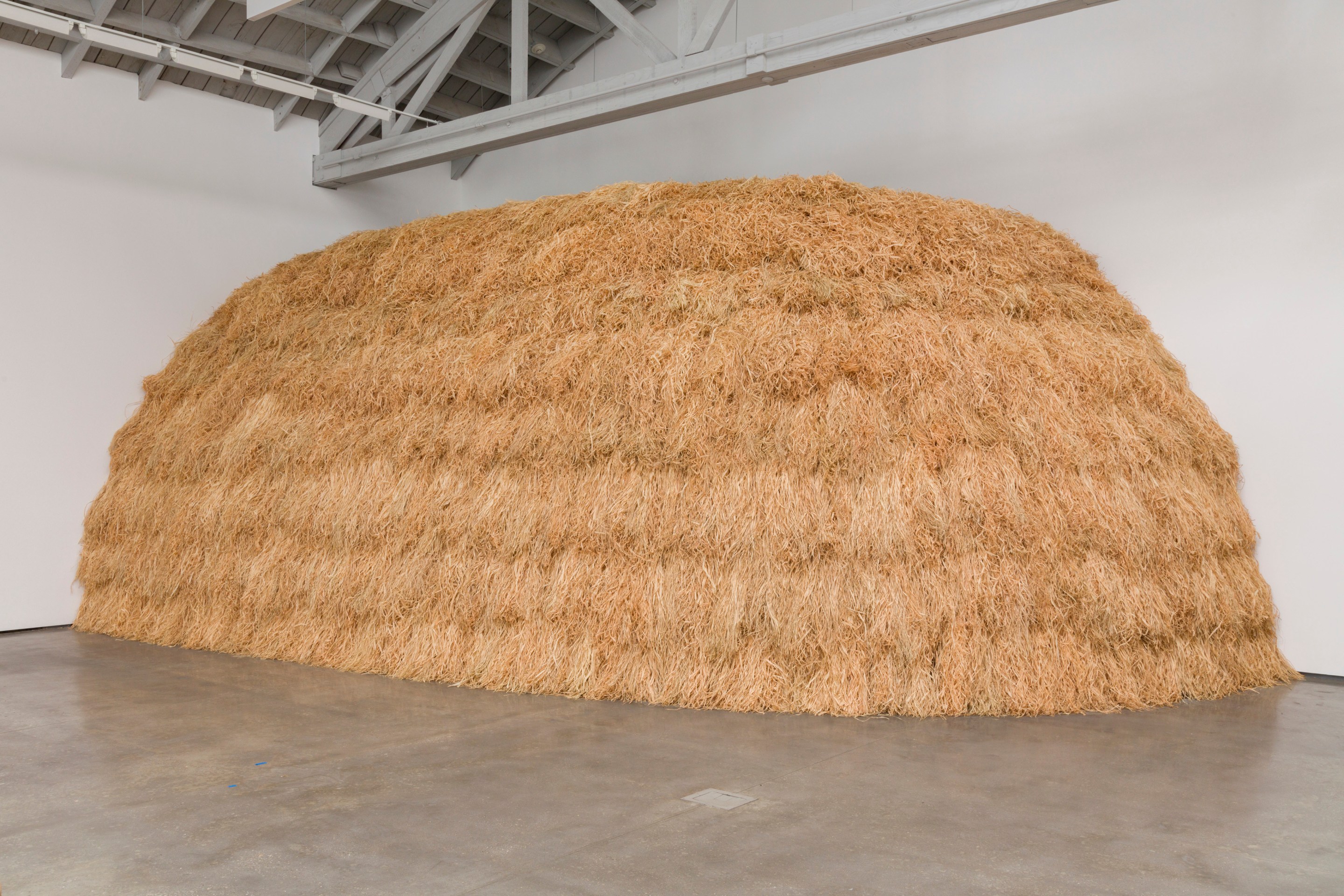 Simone Leigh Cupboard X, 2020