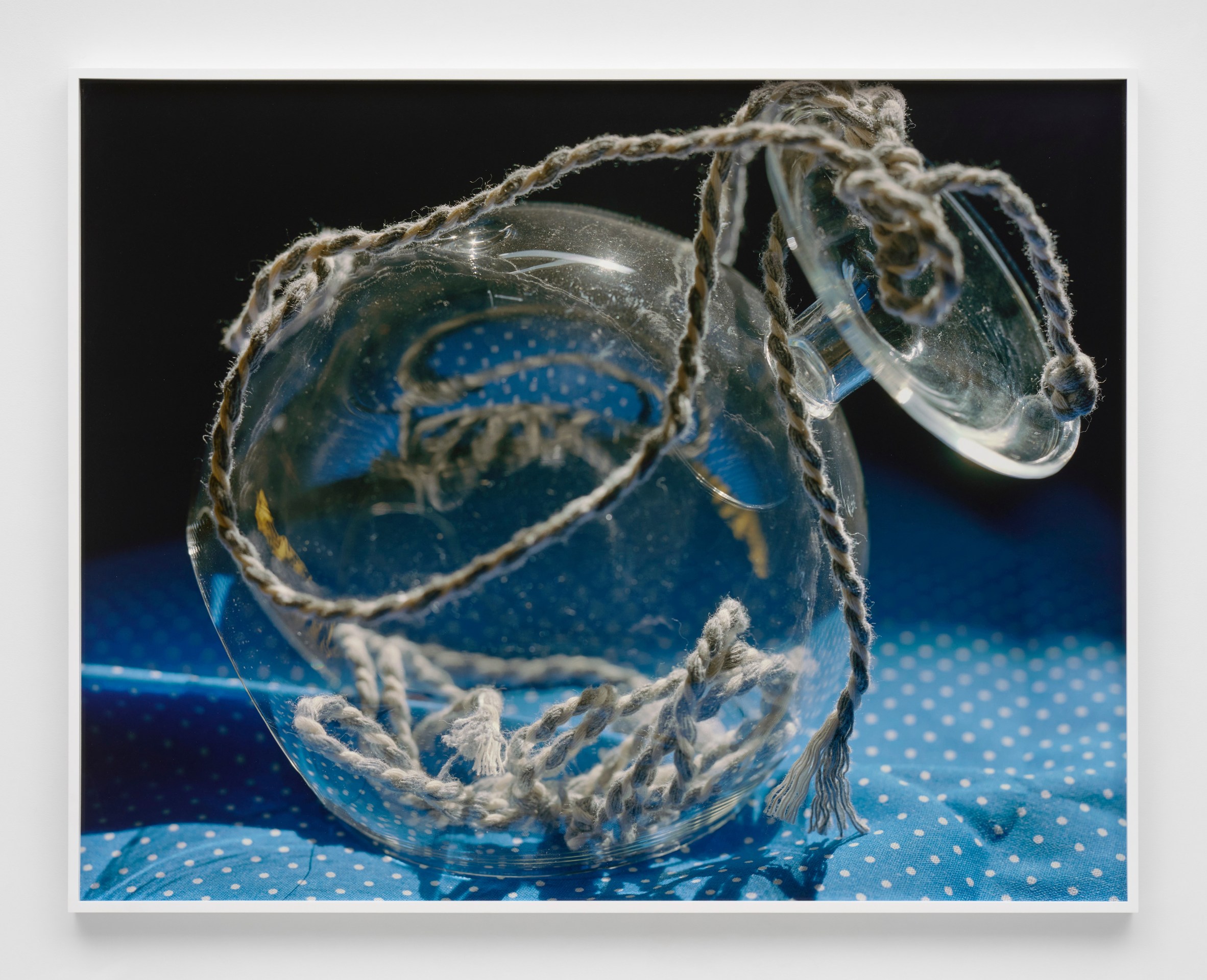 Torbj&oslash;rn R&oslash;dland, The Variant, 2021