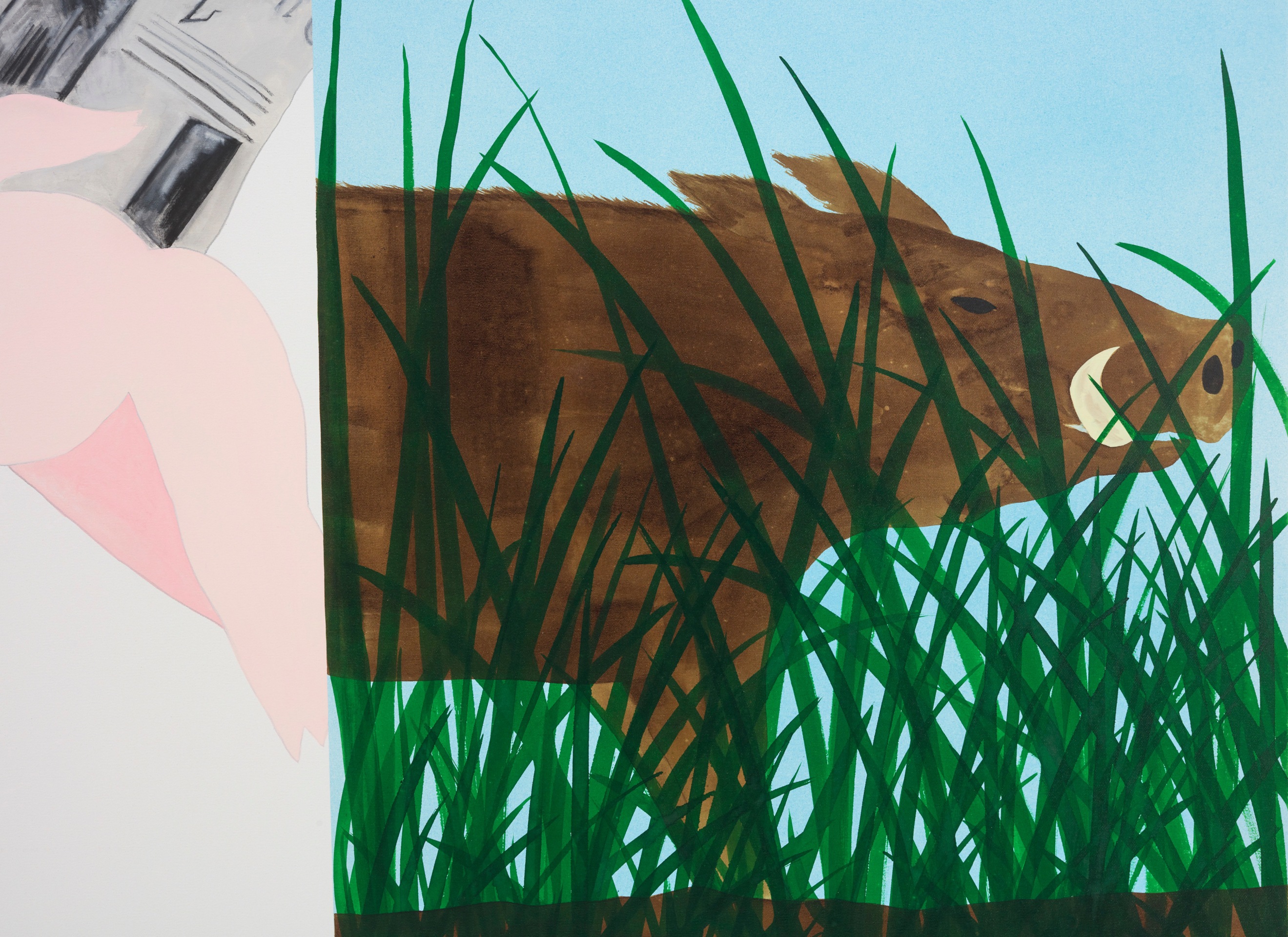 Calvin Marcus City Pig/Wild Boar, 2019