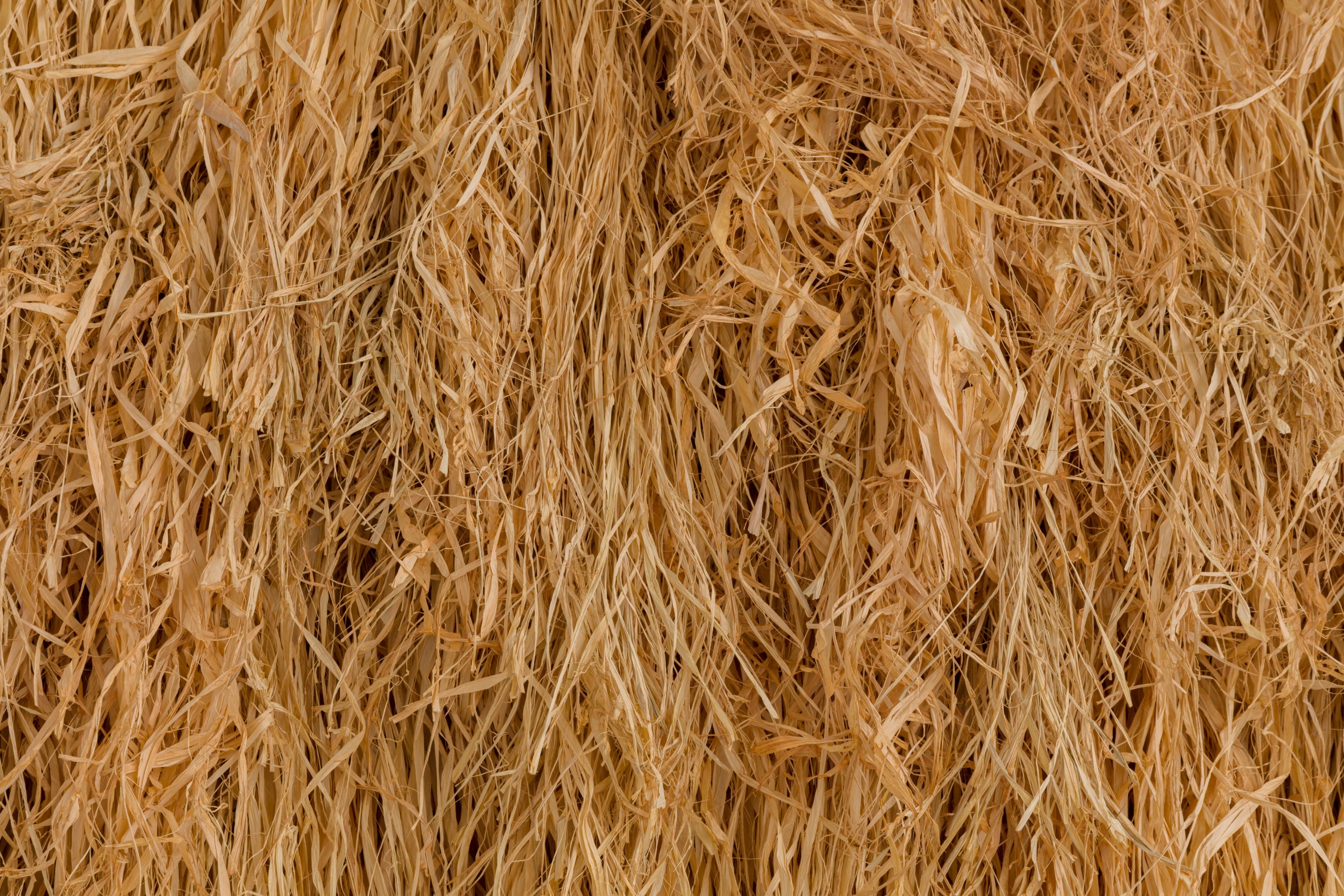 Simone Leigh Cupboard X, 2020