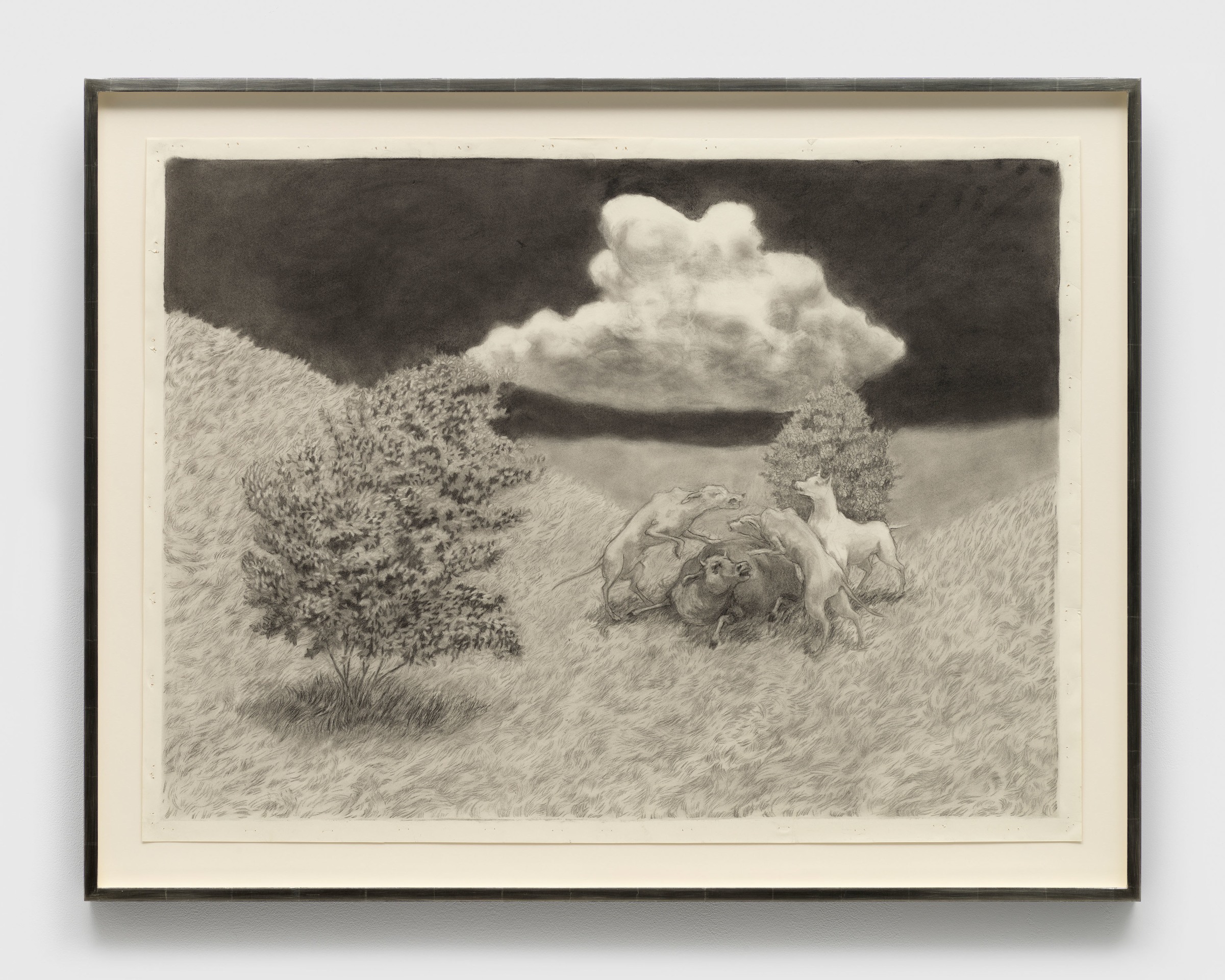 Jared Buckhiester, Untitled, 2025