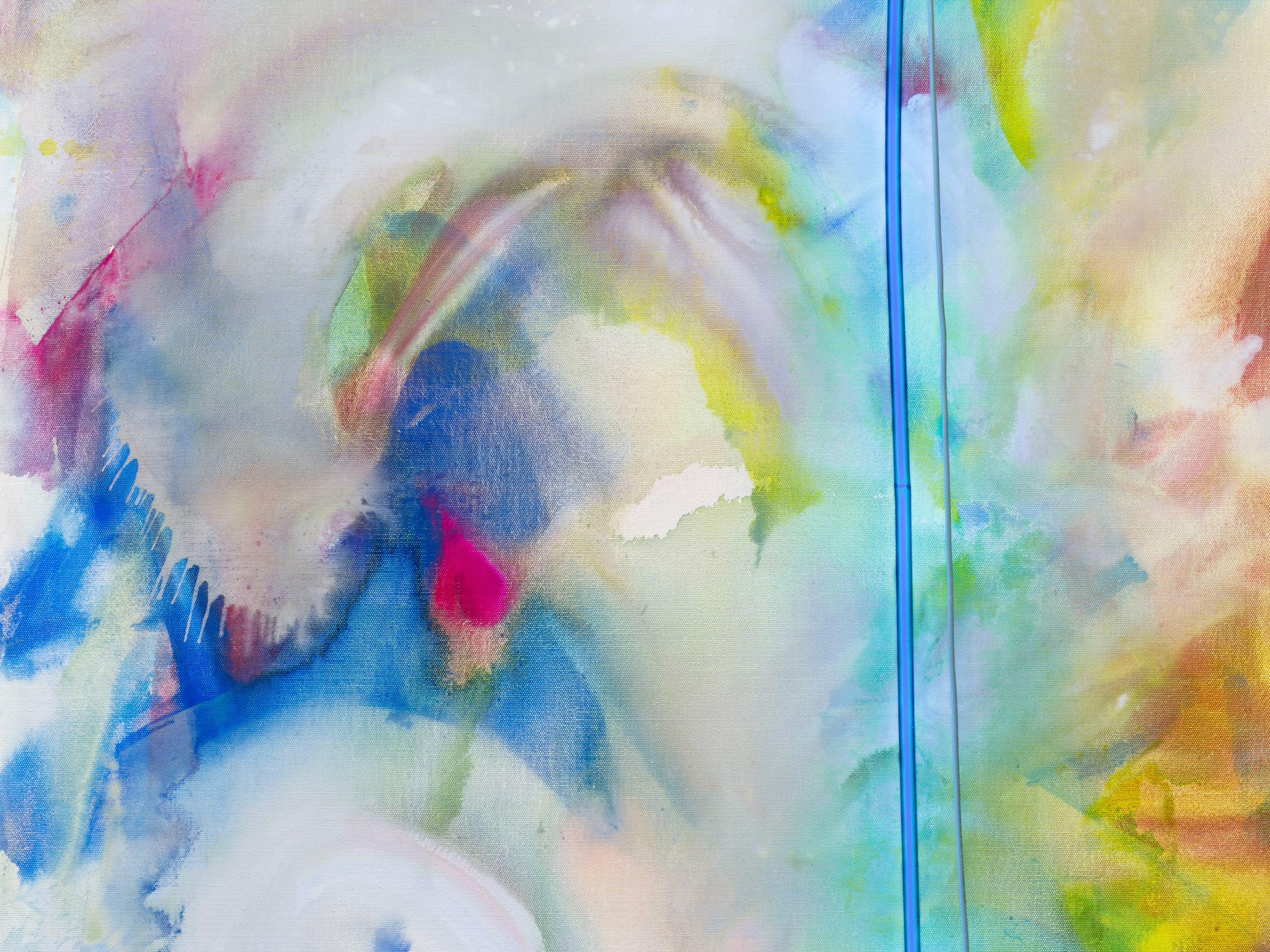 Mary Weatherford, The Birds of Kīlauea Point, 2021