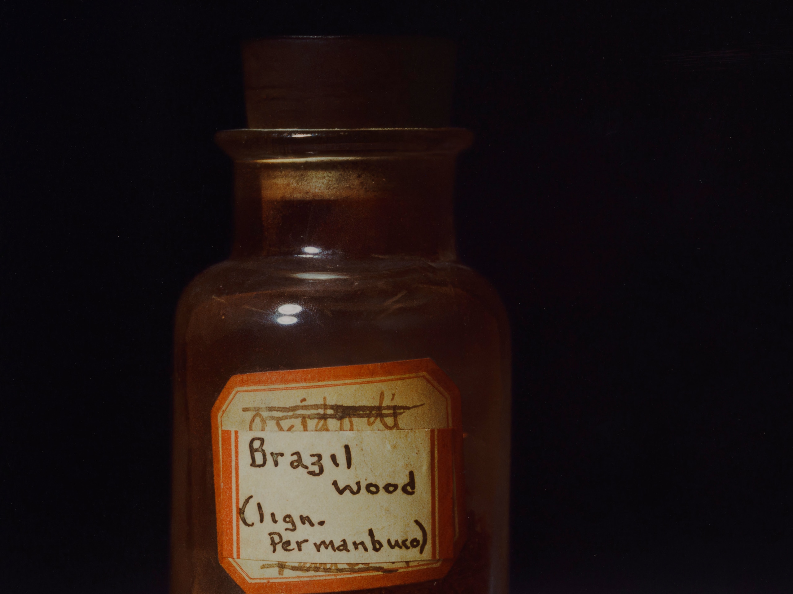 Rose Salane, Brazilwood, 2025