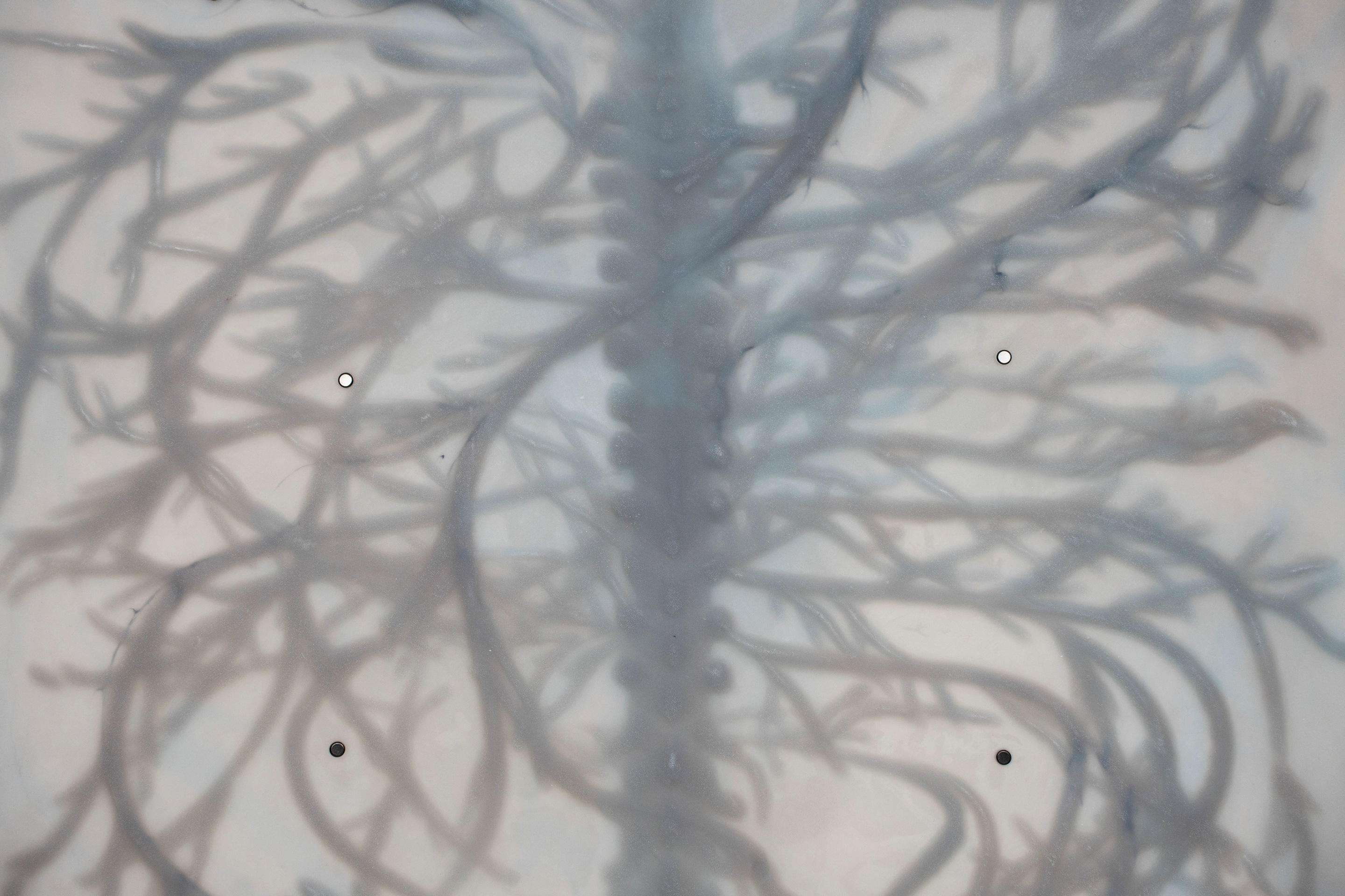 Xin Liu, Overgrowth, 2025