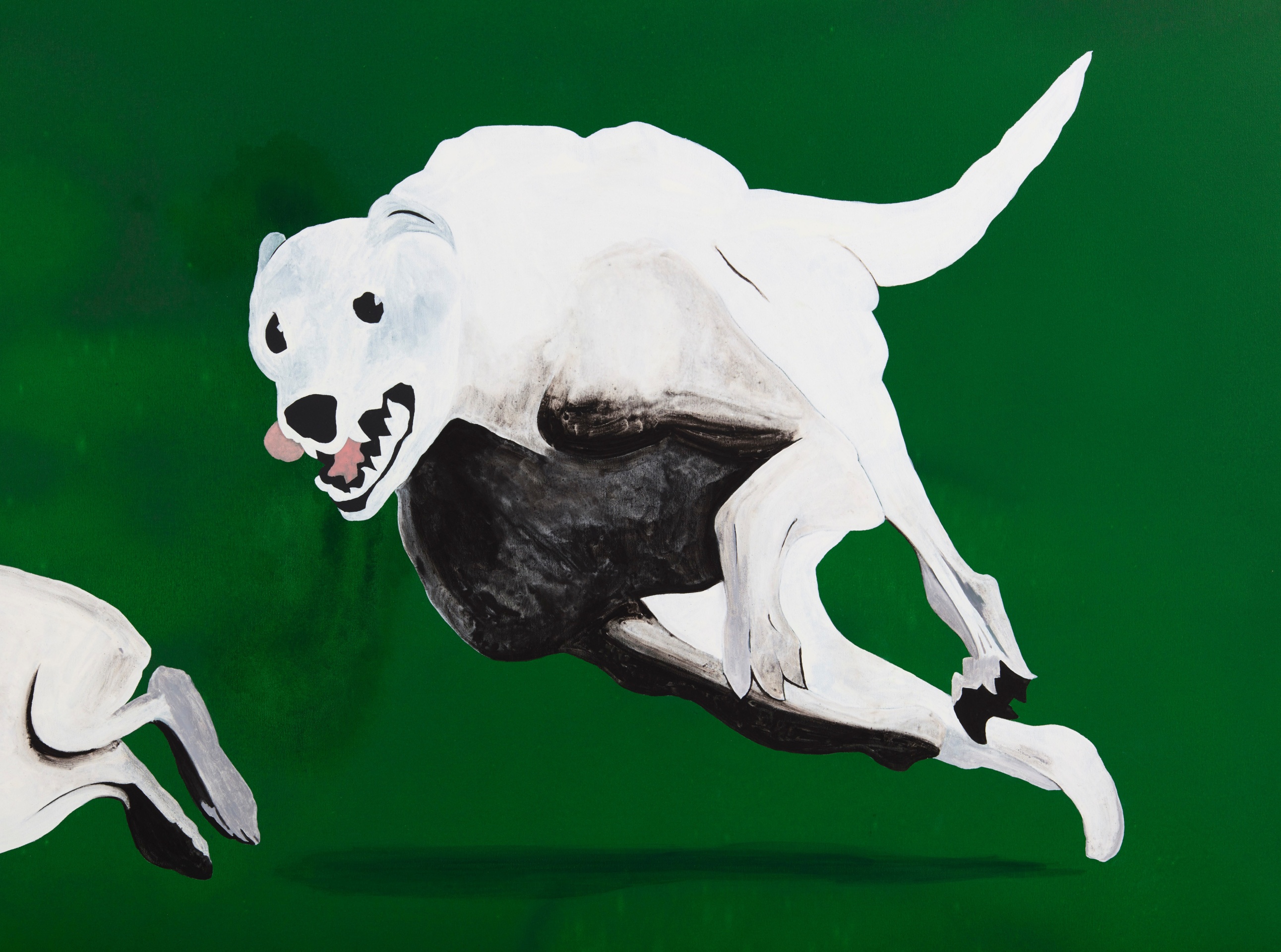 Calvin Marcus Dog and Rabbit, 2019