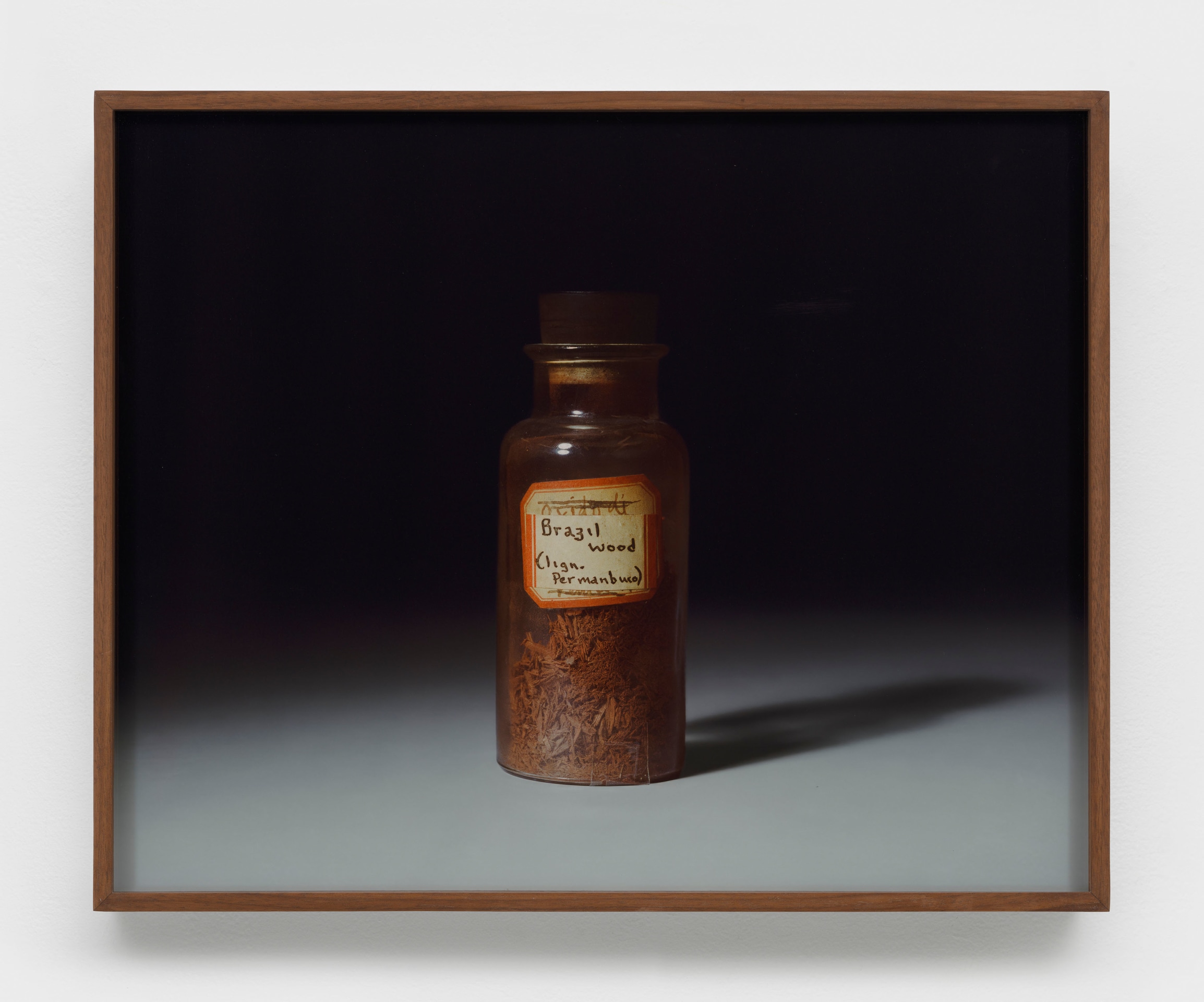 Rose Salane, Brazilwood, 2025