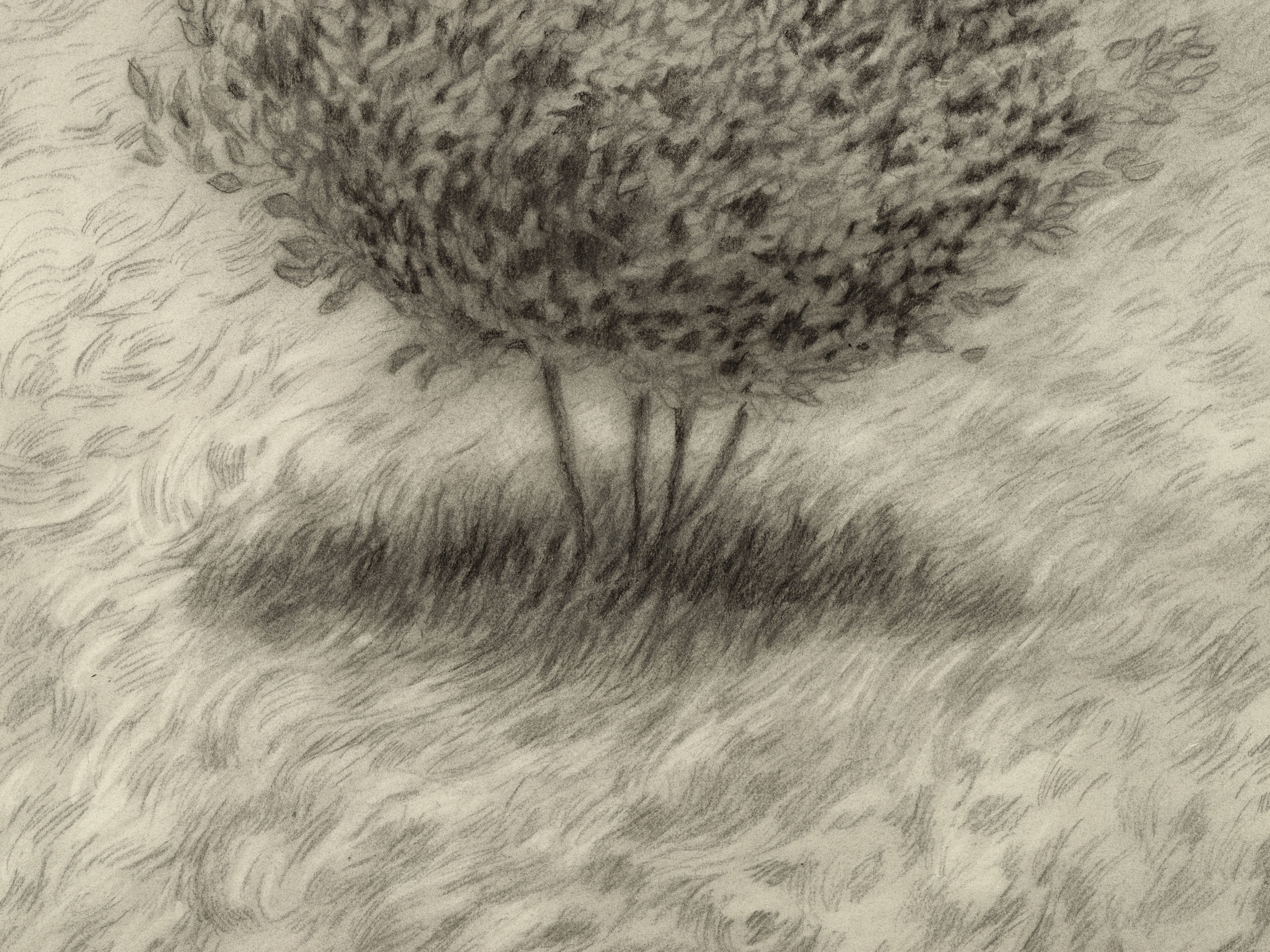 Jared Buckhiester, It is not a pretty story., 2025