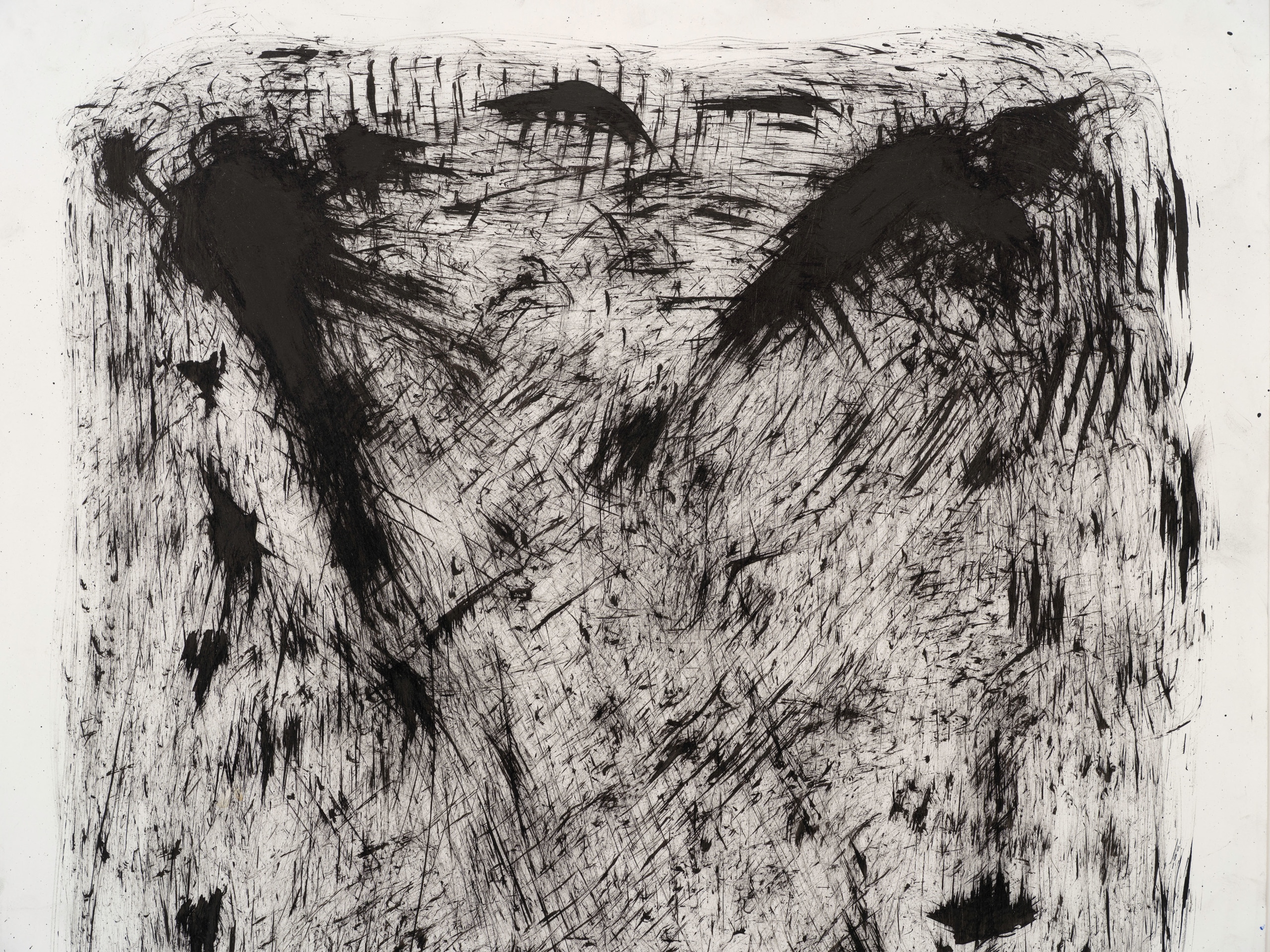 Clifford Owens, Untitled (Scrub) #6, 2020