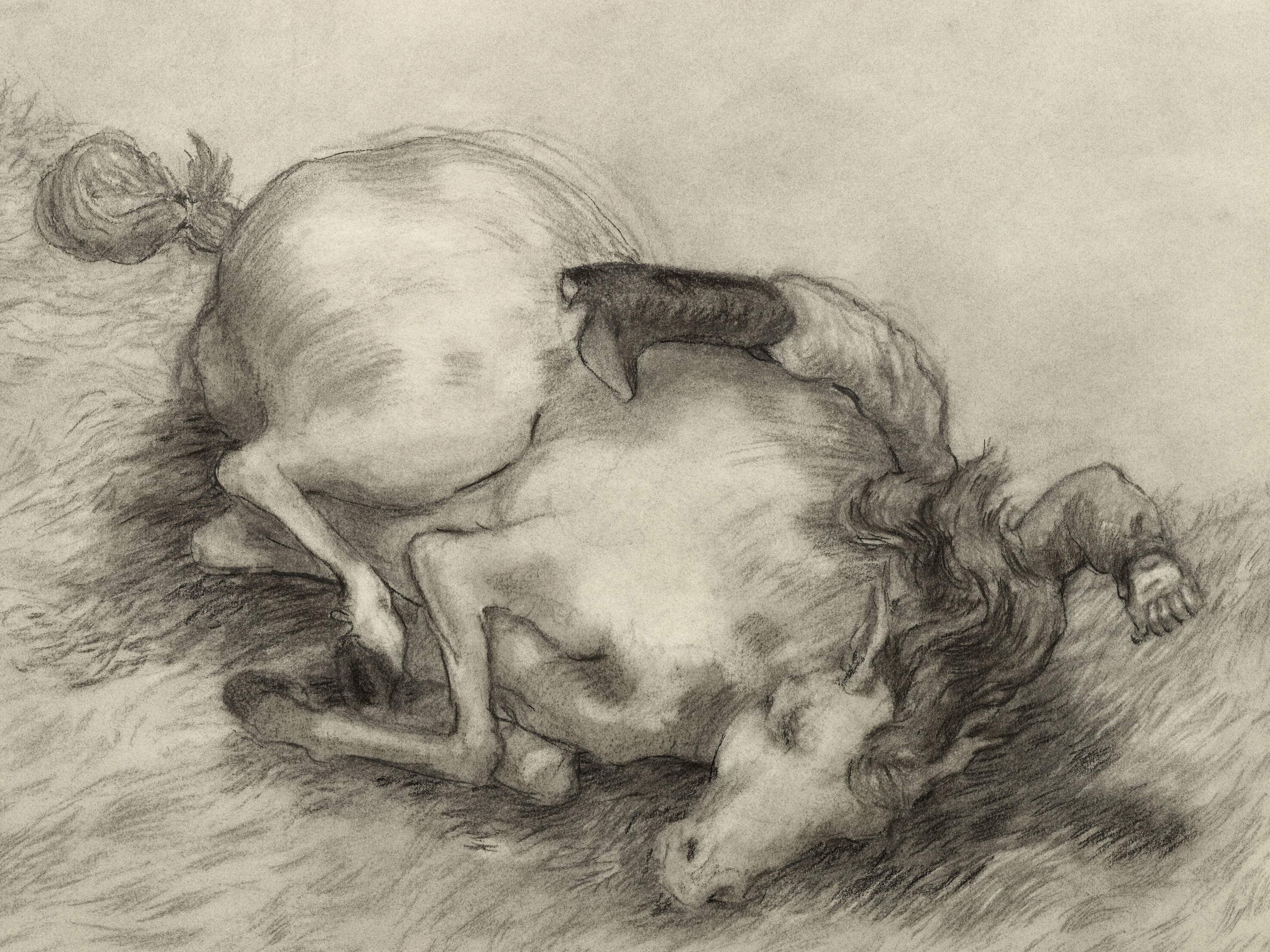 Jared Buckhiester, It is not a pretty story., 2025