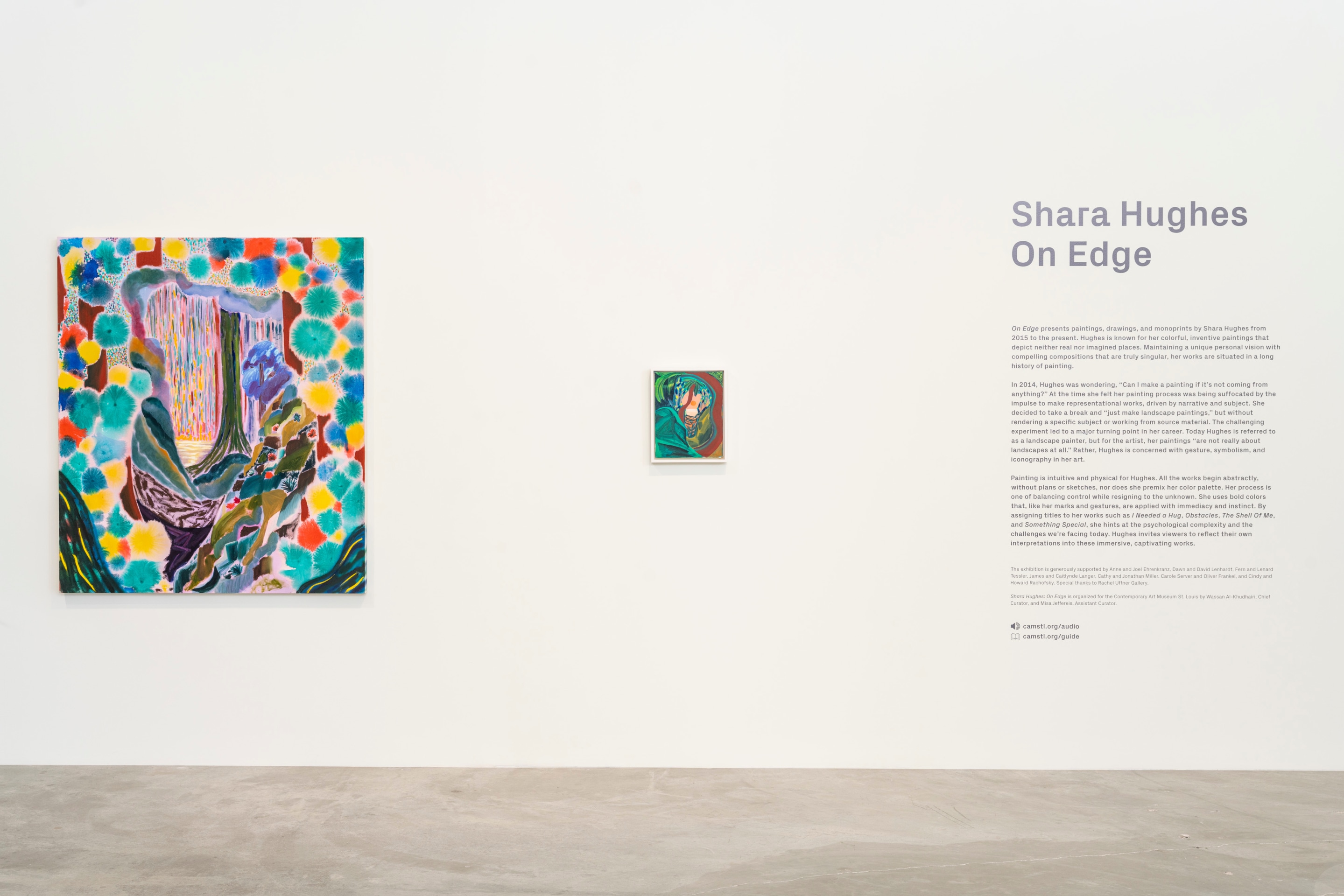 Shara Hughes