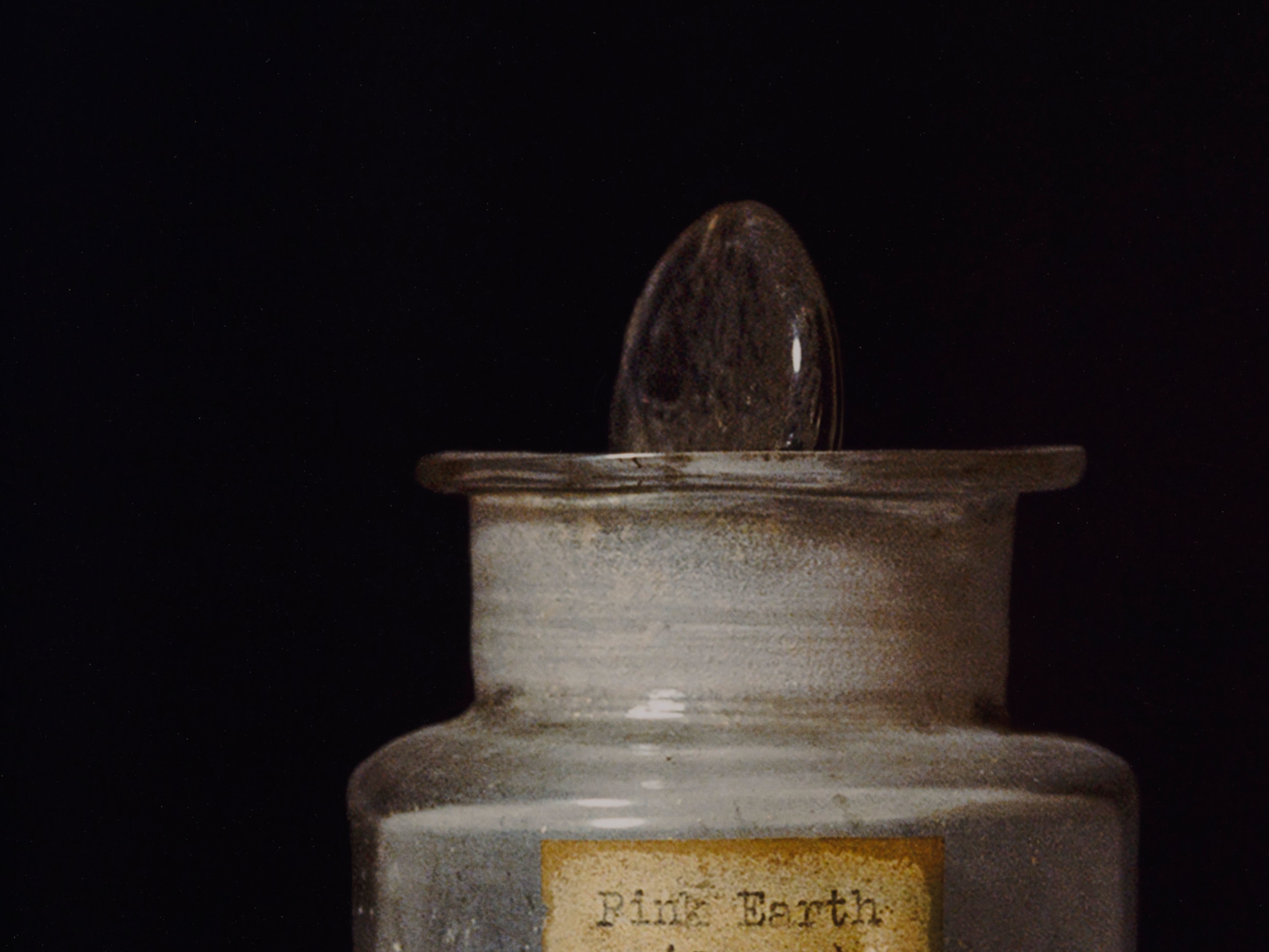 Rose Salane, Pink Earth: Japan, 2025