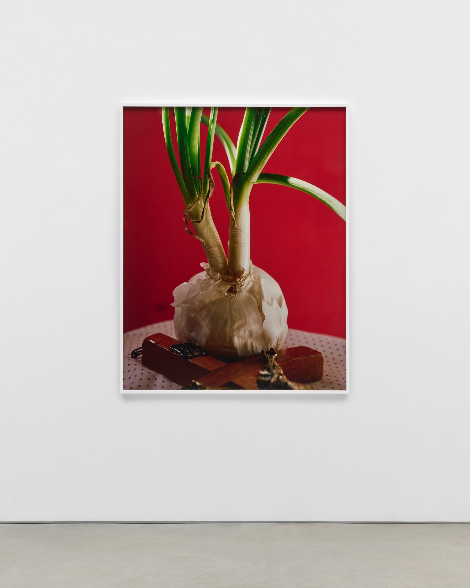 Torbj&oslash;rn R&oslash;dland, Sprouting Onion, 2021