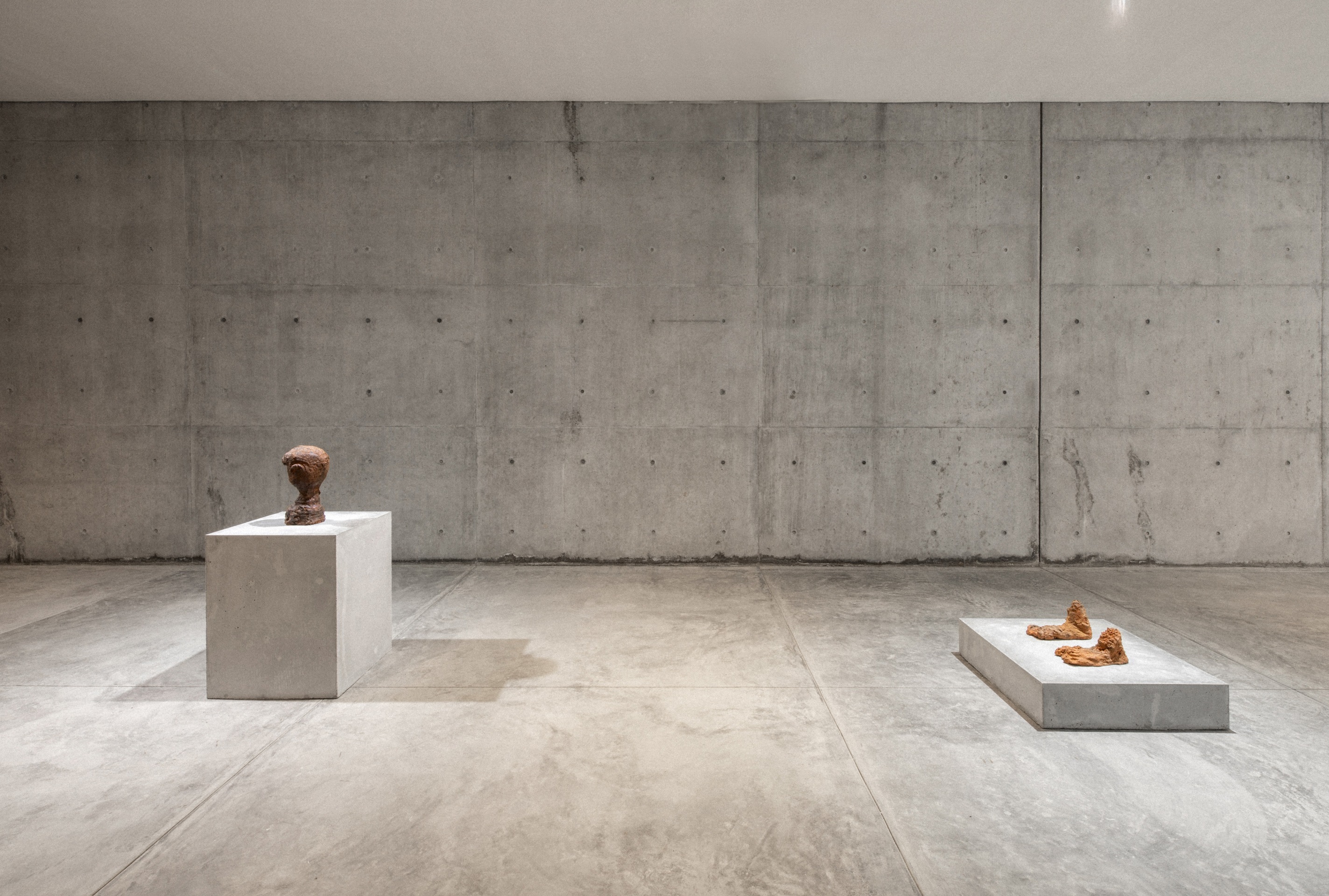Huma Bhabha