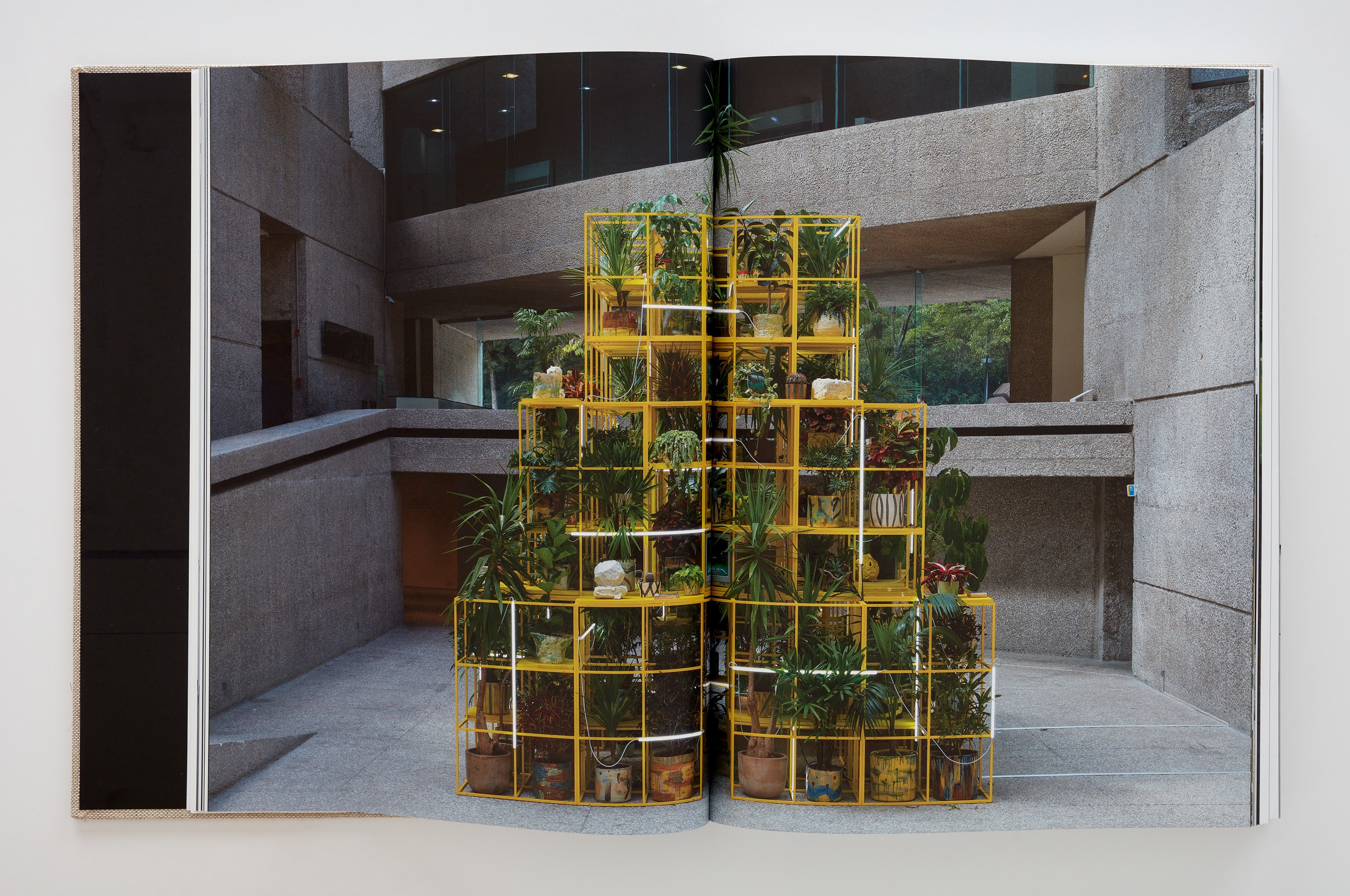 Rashid Johnson