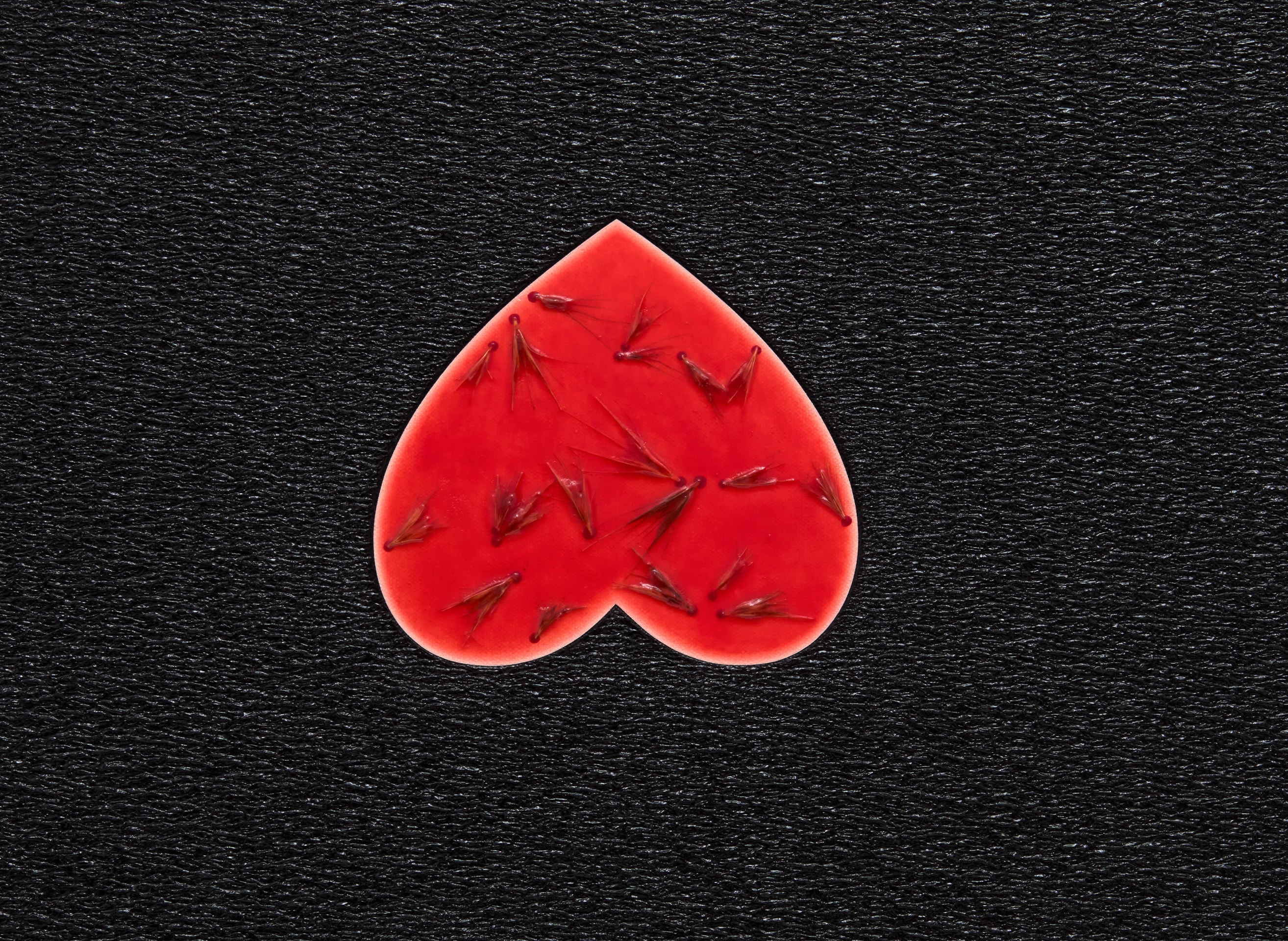 Linda Stark Burr Heart II, 2020