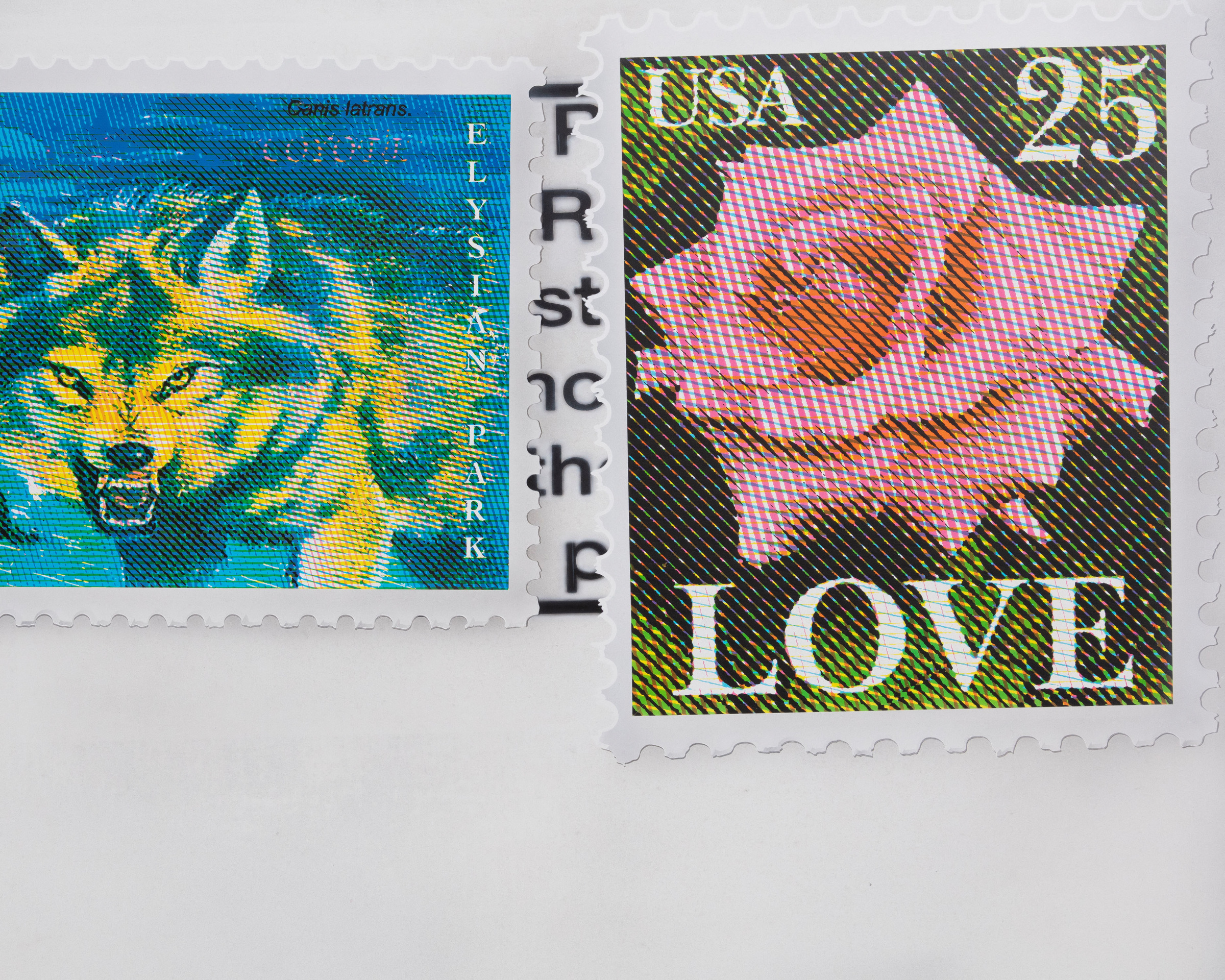 Mario Ayala, Citation, 2023