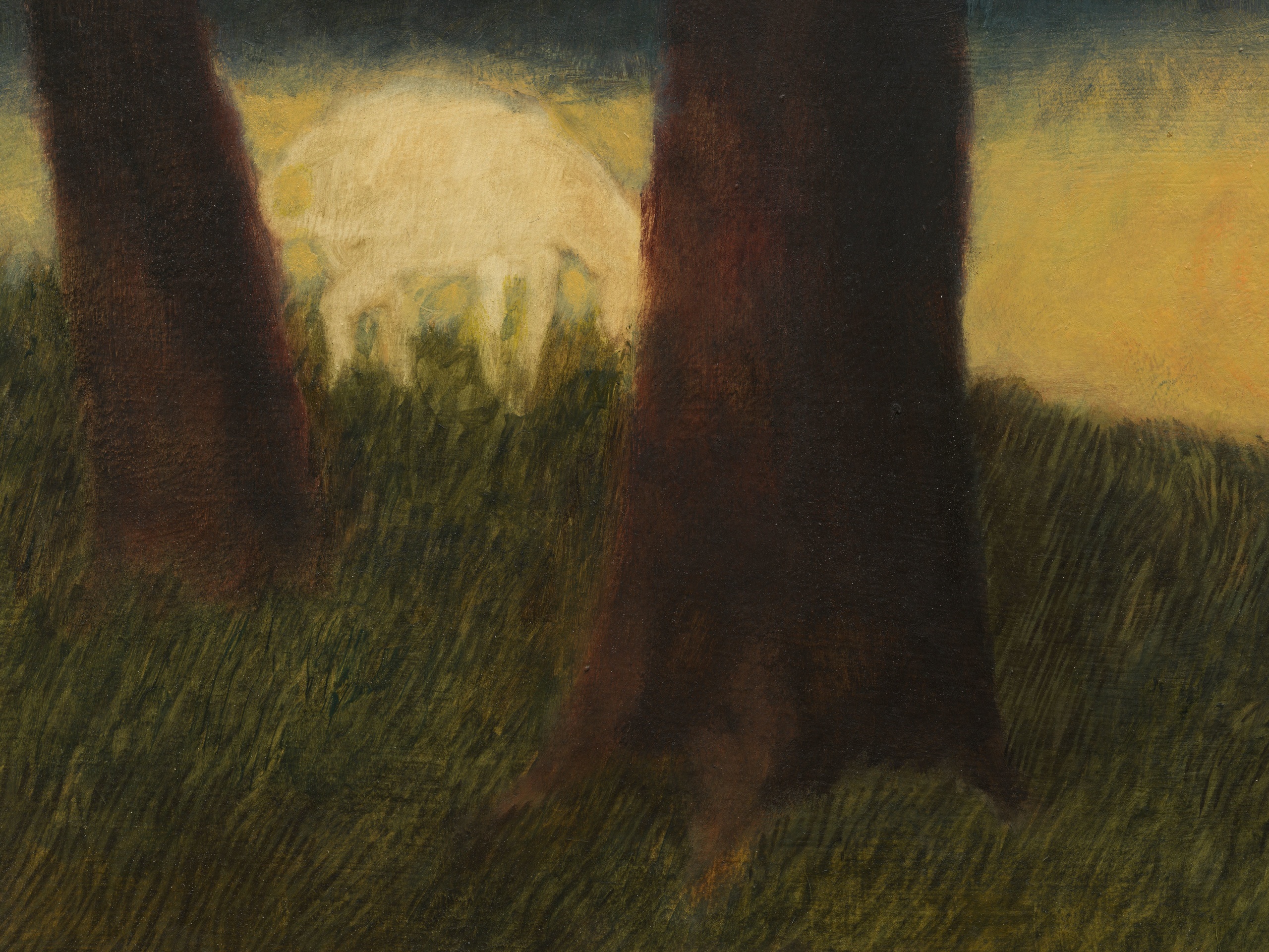 Jared Buckhiester, The Renderer&rsquo;s horse between two trees, 2024