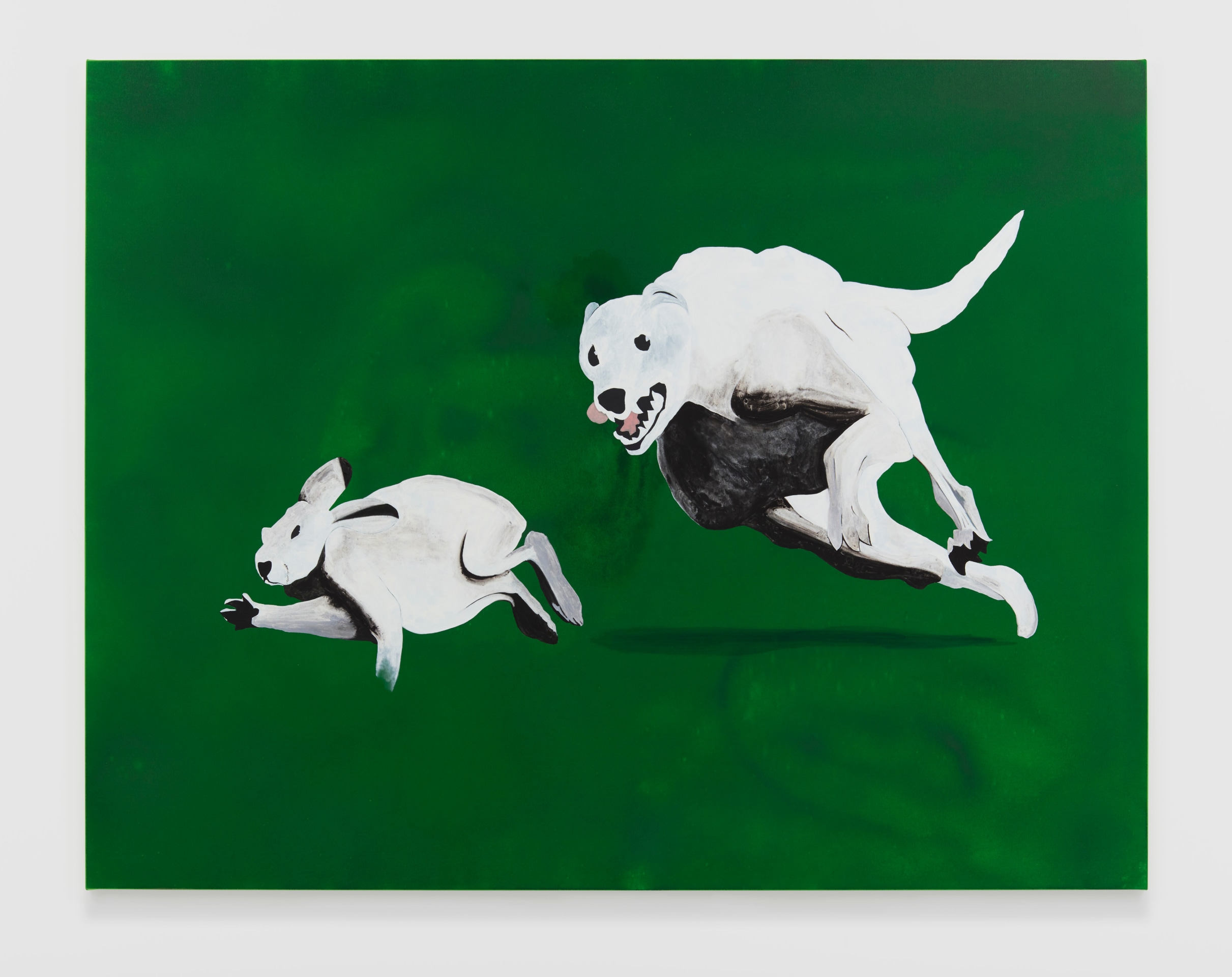 Calvin Marcus Dog and Rabbit, 2019